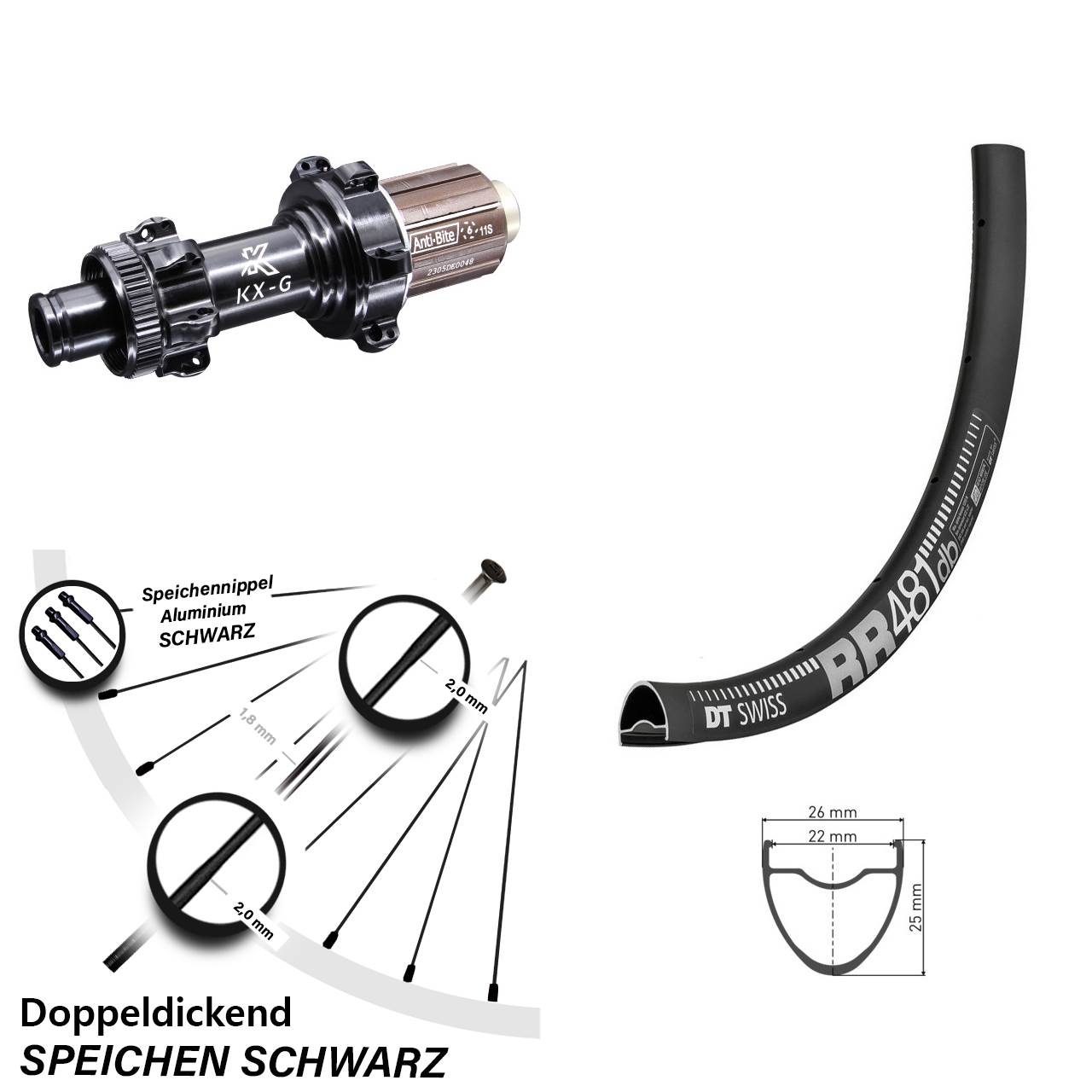 28 Zoll Hinterrad Road Disc Straightpull DT Swiss RR 481 TA KX-G Shimano HG 8-12 fach