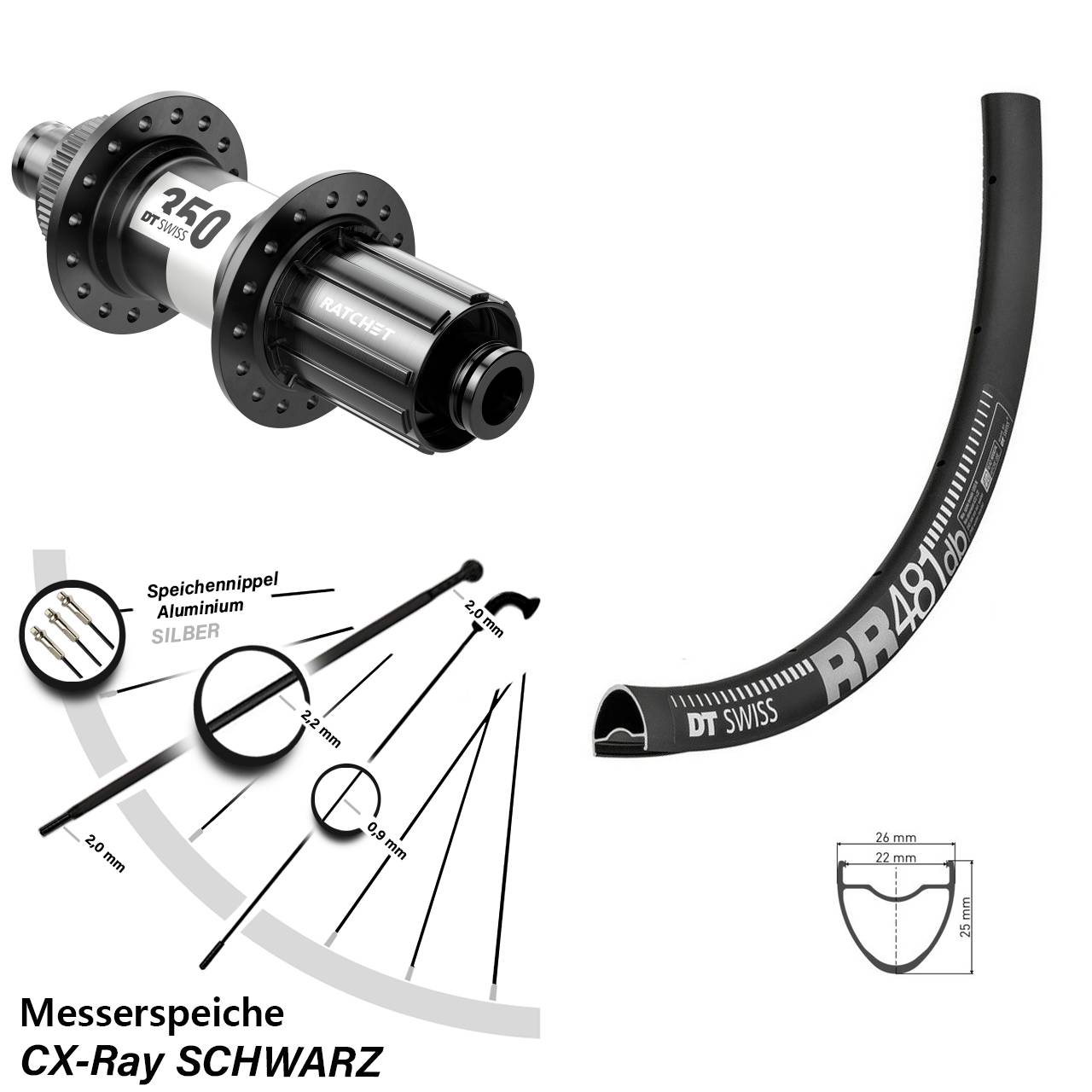 28 Zoll DT Swiss RR 481-350 Hinterrad Centerlock 12x142 CX-Ray HG Road