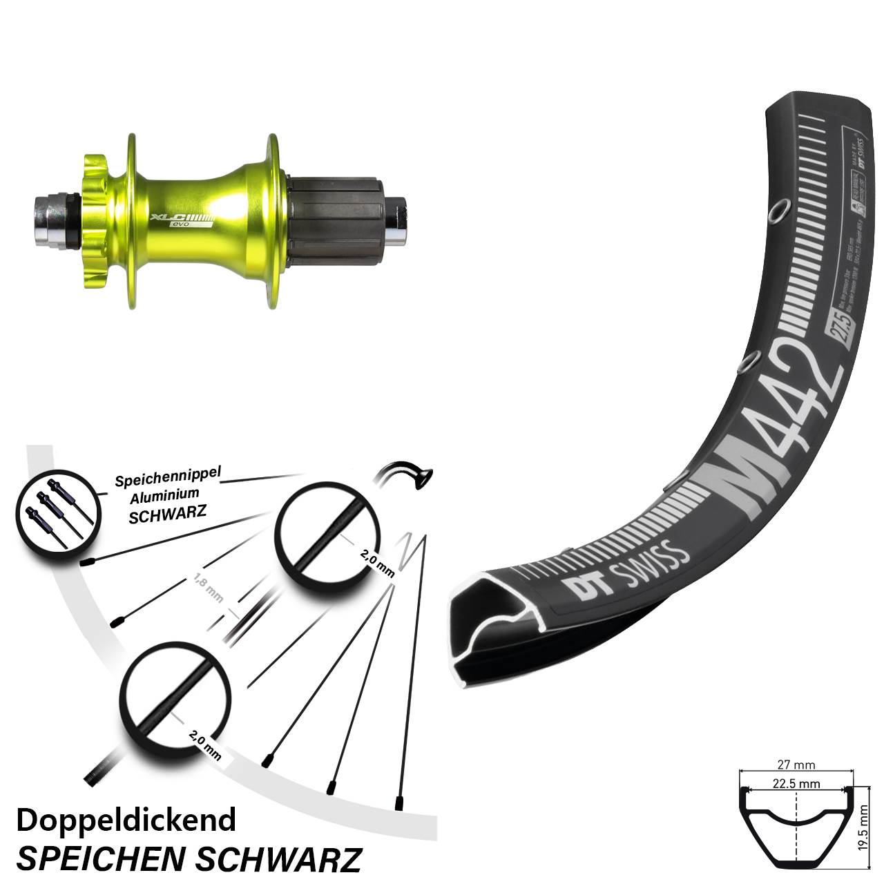 DT Swiss M 442 Disc-Hinterrad 29 Zoll XLC Evo 12x142 mm grün eloxiert 8-11 fach