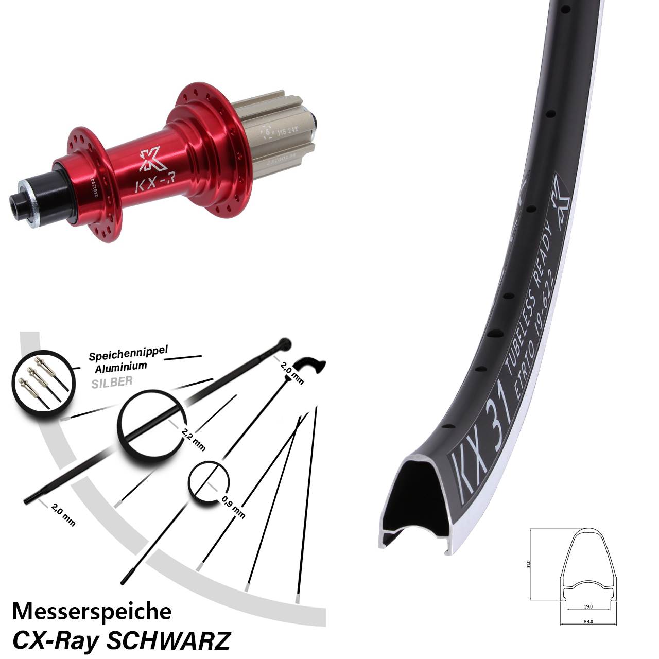 28 Zoll Hinterrad KX-R 31 rot 5x130 Messerspeiche CX-Ray Campagnolo