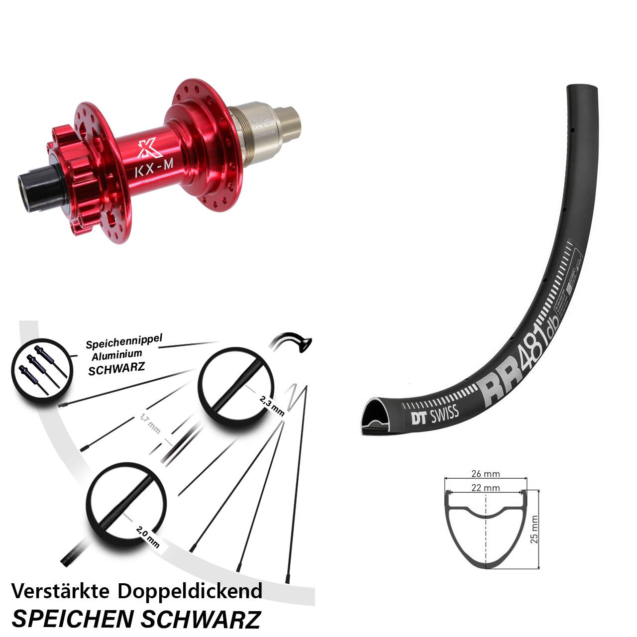6-Loch Hinterrad 28 Zoll DT Swiss RR481 KX-M rot XD 11-12 fach 12x142