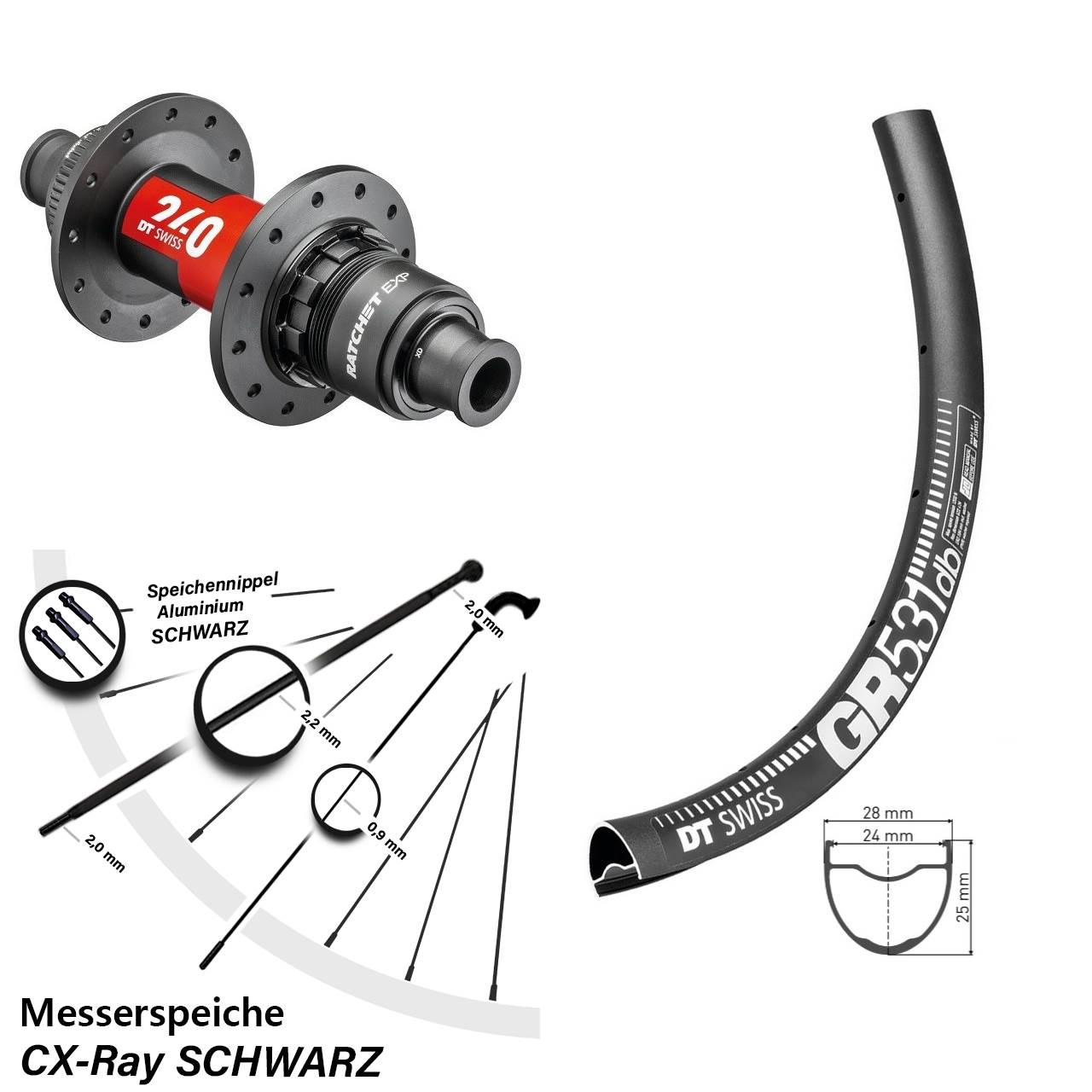 Gravel Hinterrad 28-29 Zoll DT Swiss GR531-240 EXP XDR 12x142 CX-Ray