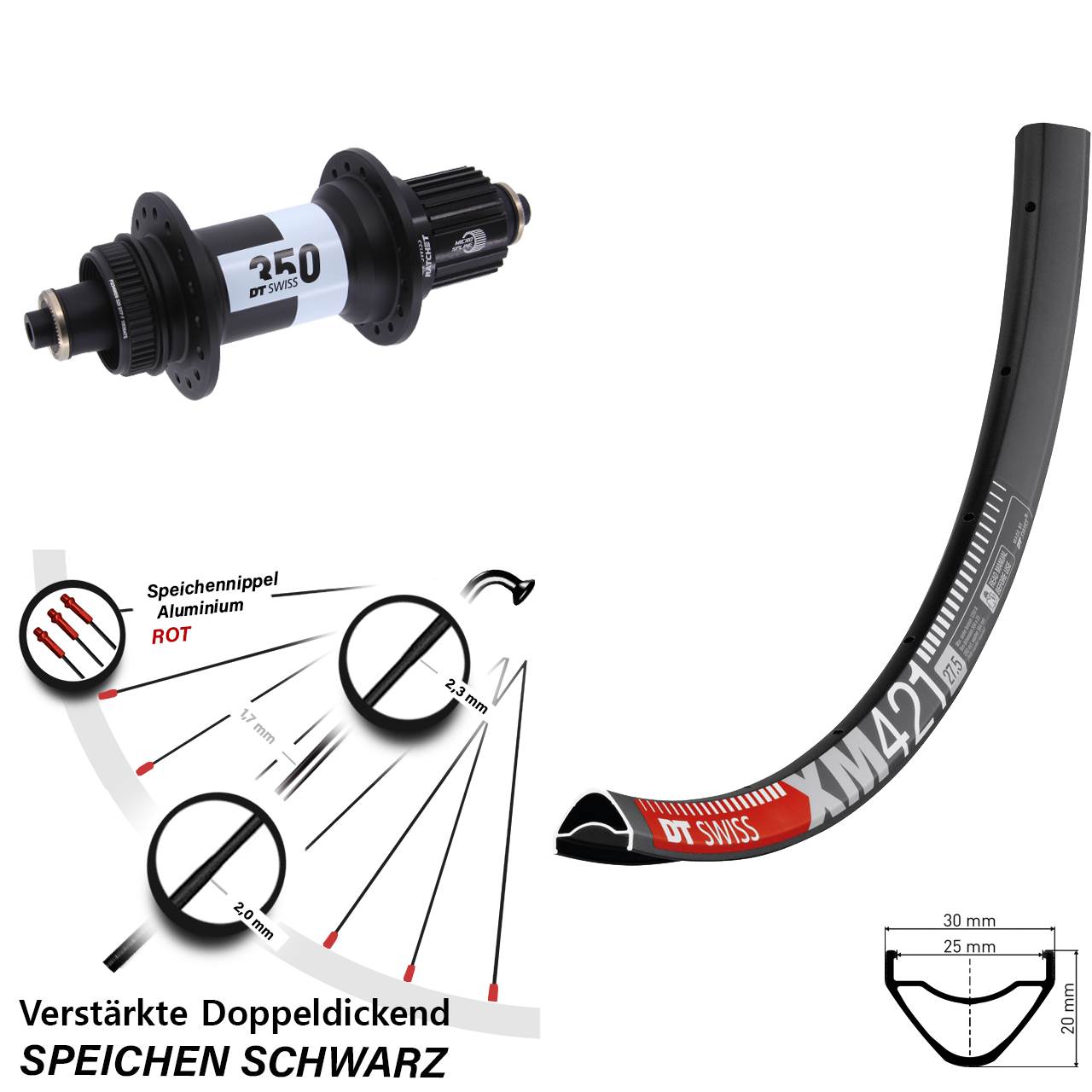 Disc 29 Zoll Laufrad QR DT Swiss XM 421-350 Micro Spline