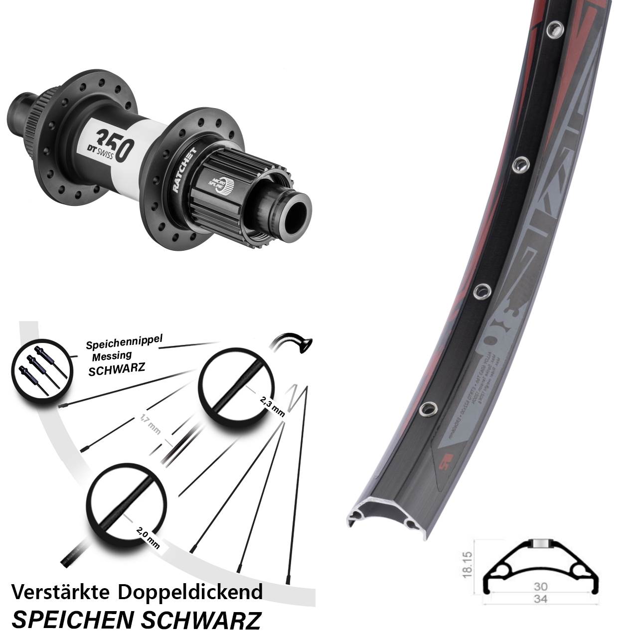 Rodi TRYP 30 DT Swiss 350 29 Zoll Centerlock Hinterrad 12x142 Micro Spline