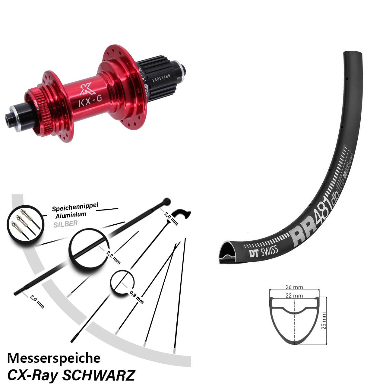 Hinterrad 28 Zoll DT Swiss RR 481 KX-G rot Shimano Micro Spline für Schnellspanner CX-Ray