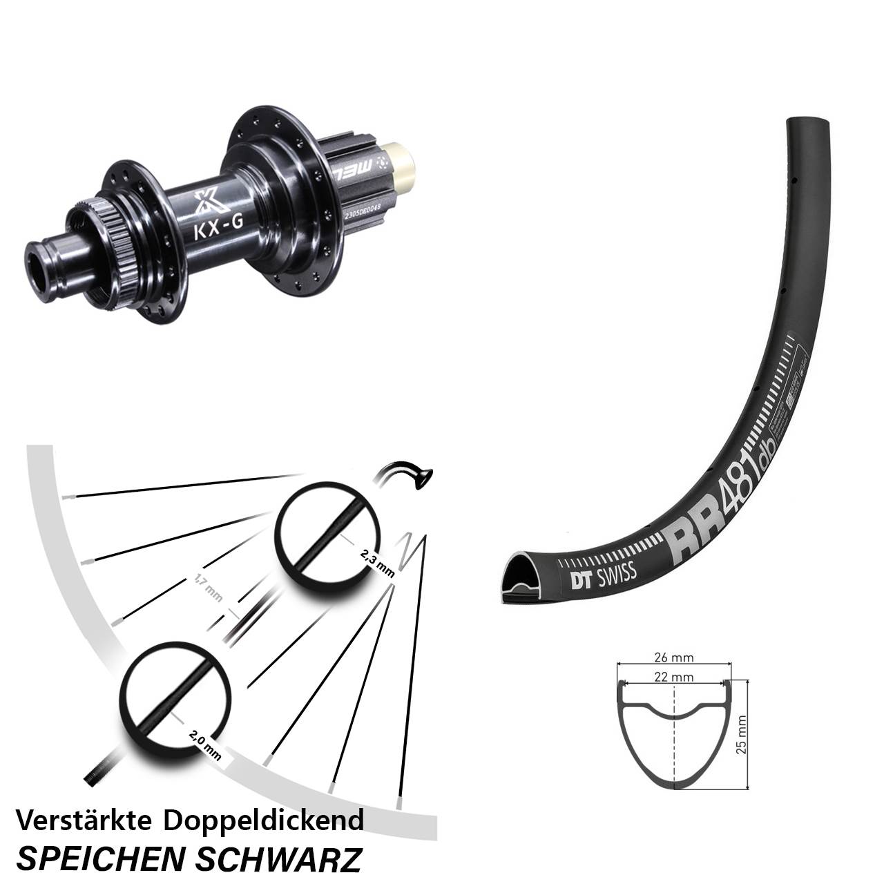 DT Swiss RR481 KX-G Steckachse 28 Zoll Hinterrad Centerlock 12x142 Campagnolo N3W