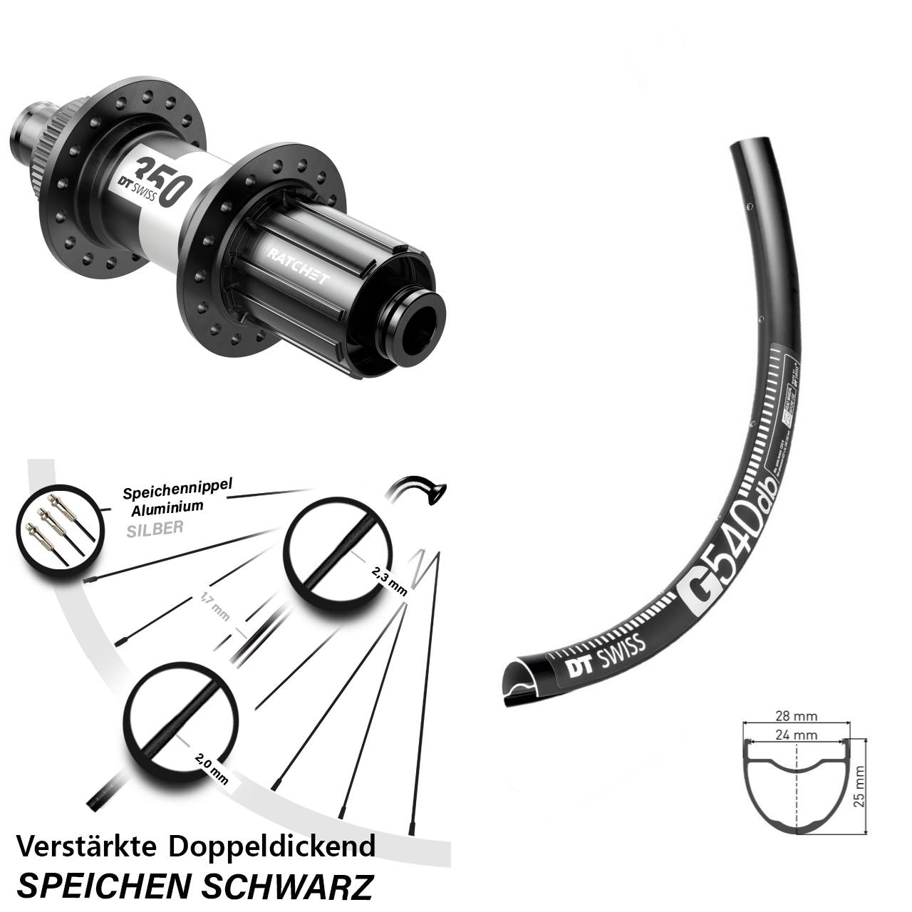 Hinterrad Centerlock 12x142 28-29 Zoll DT Swiss G 540-350 Road 11-12 fach HG