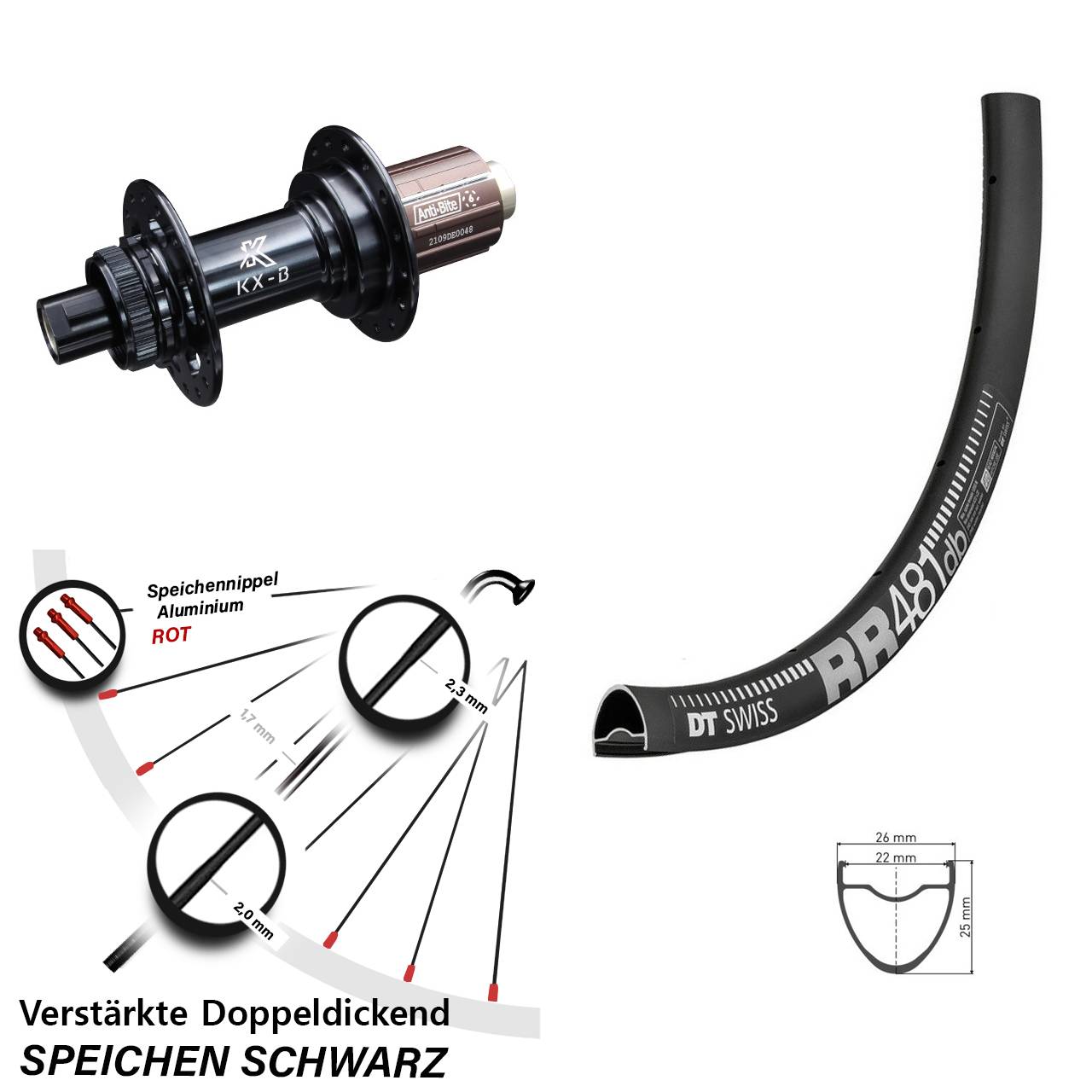 28 Zoll Hinterrad verstärkt DT Swiss RR 481 KX-B Boost 12x148 mm HG Road 11-12 fach