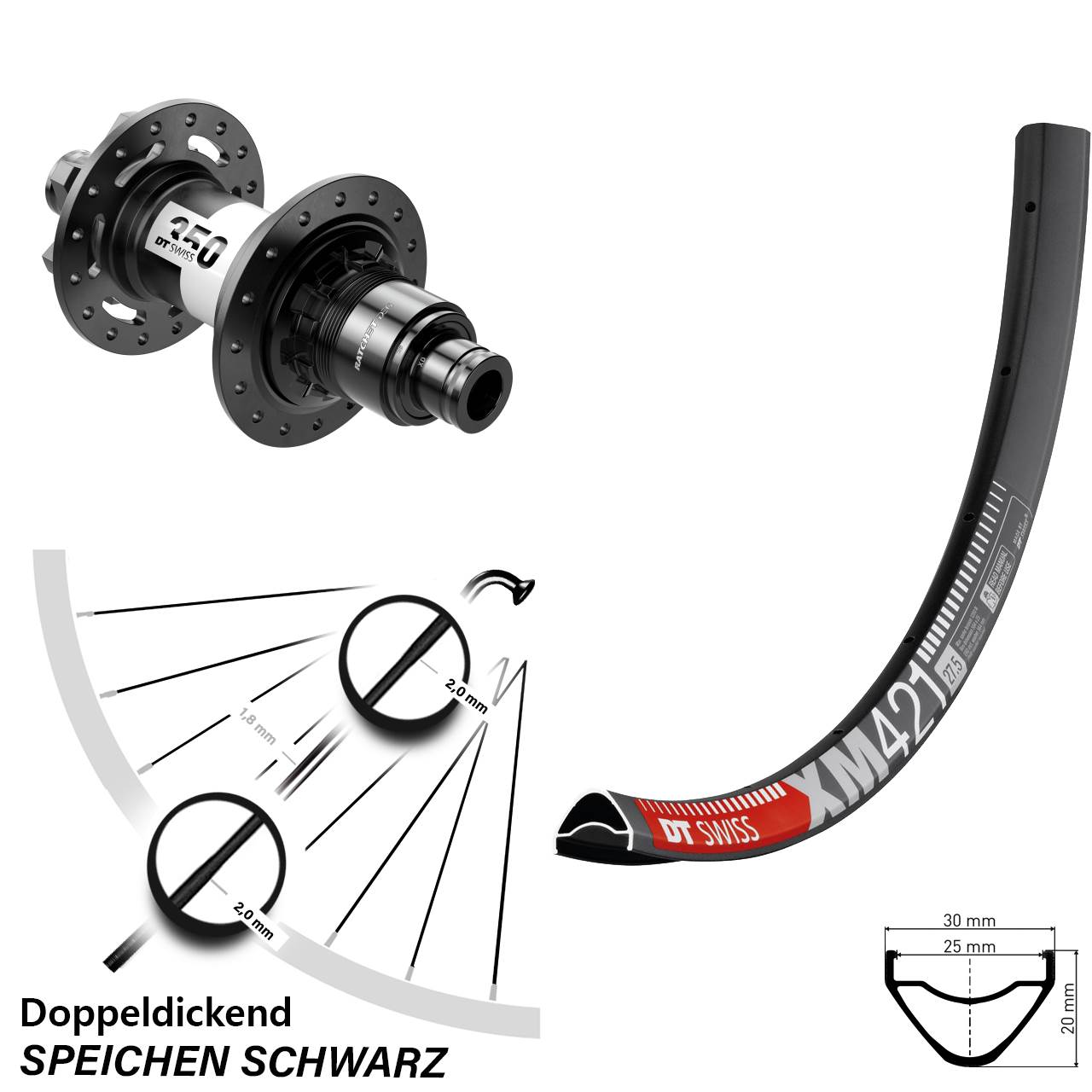 Hinterrad 6-Loch 29 Zoll DT Swiss XM421-350 DEG 72 XD 12x148