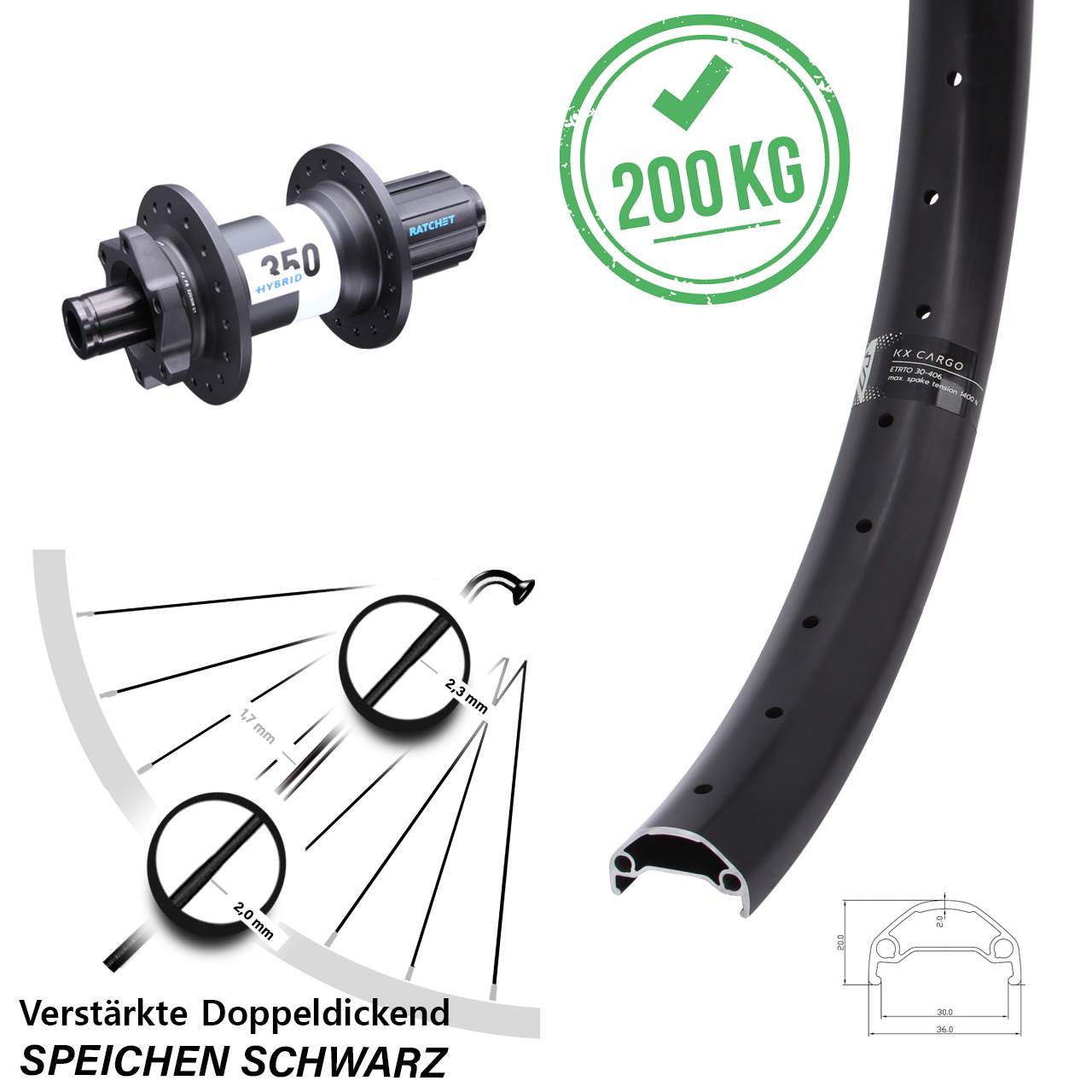 Hinterrad 6-Loch 20 Zoll KX Cargo DT Swiss 350 Hybrid 8-11 fach HG 12x148 Boost