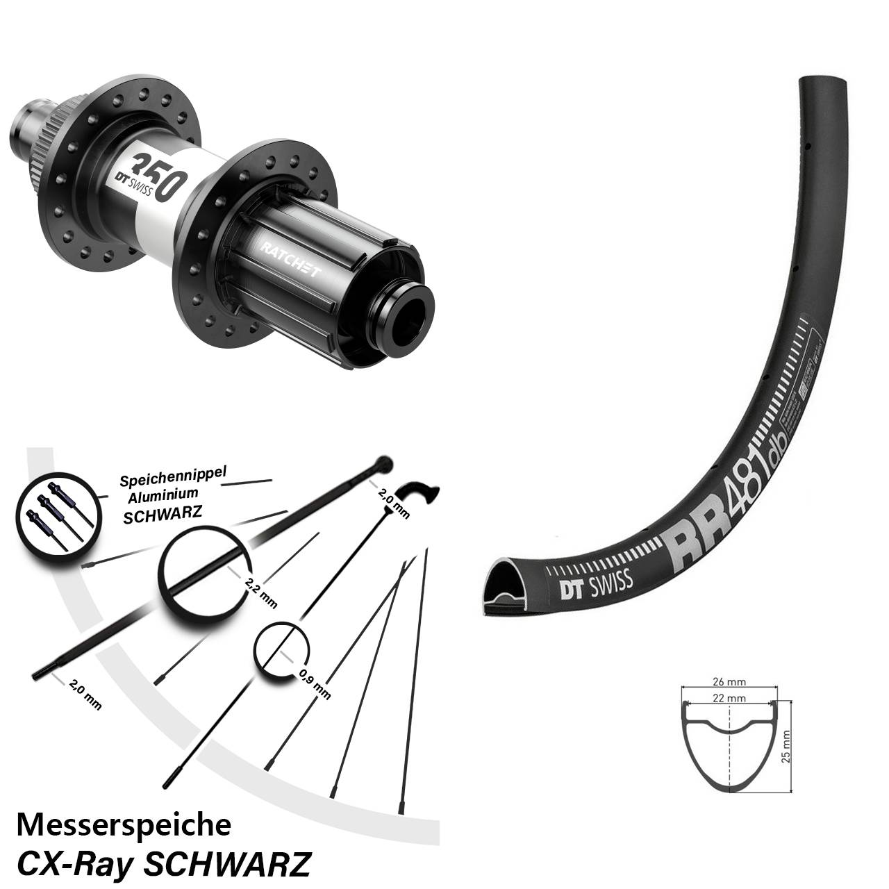 28 Zoll DT Swiss RR 481-350 Hinterrad Centerlock 12x142 CX-Ray HG Road