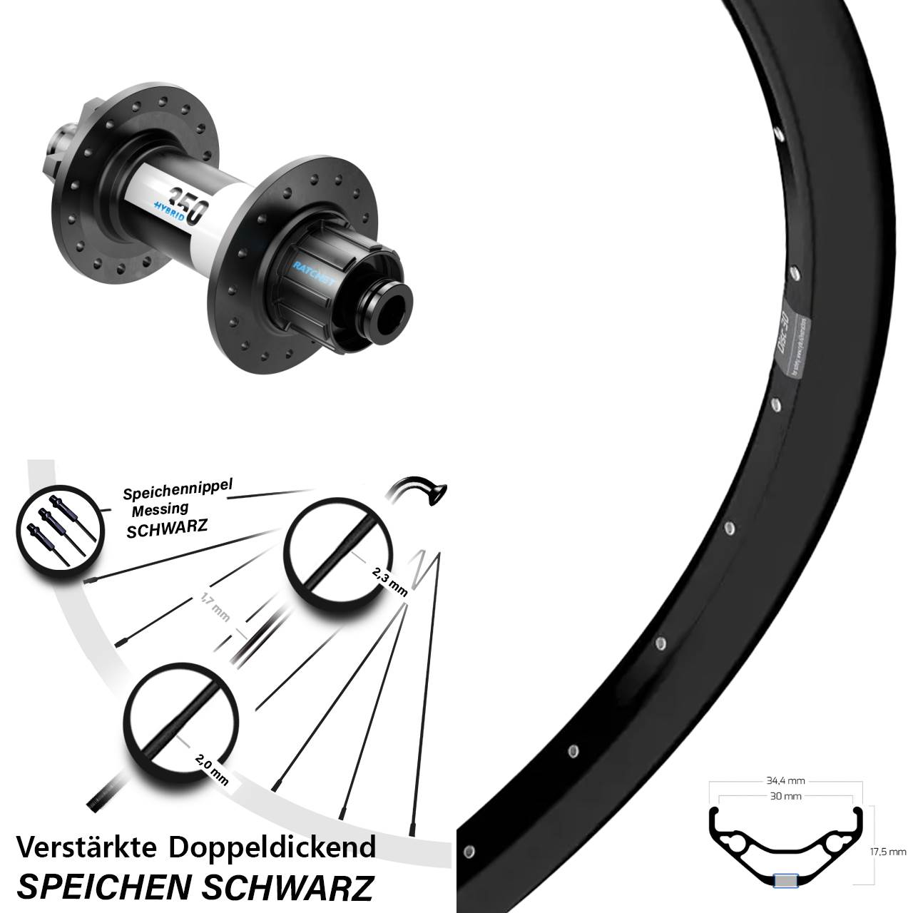 Hinterrad Ryde Disc 30 DT Swiss 350 Singlespeed 12x142