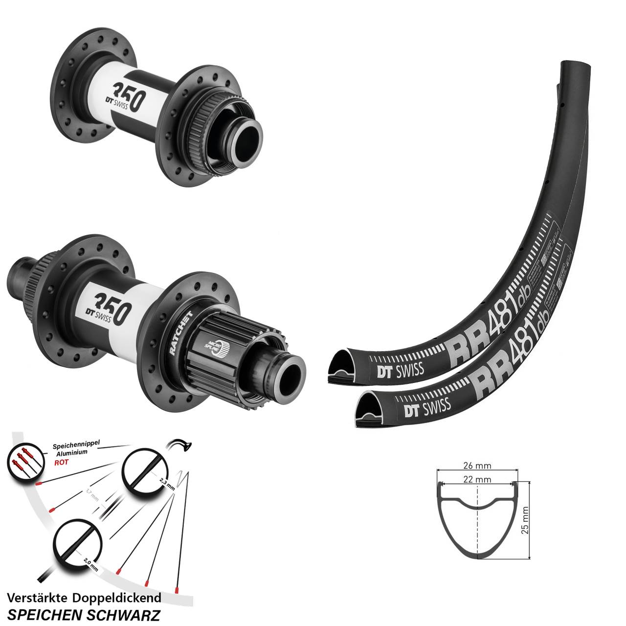 Disc Laufradsatz 28 Zoll DT Swiss RR481 DT Swiss 350 Micro Spline 15x100 12x142