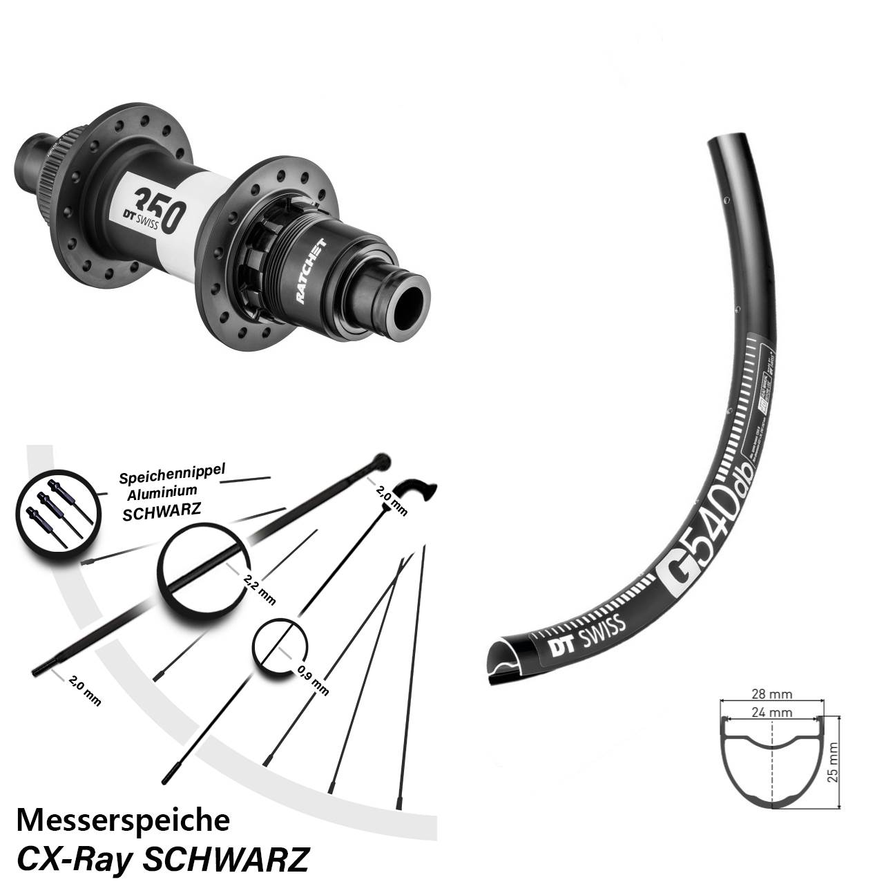 29 Zoll G 540 DT Swiss 350 Road 12x142 Hinterrad Sram XDR CX-Ray