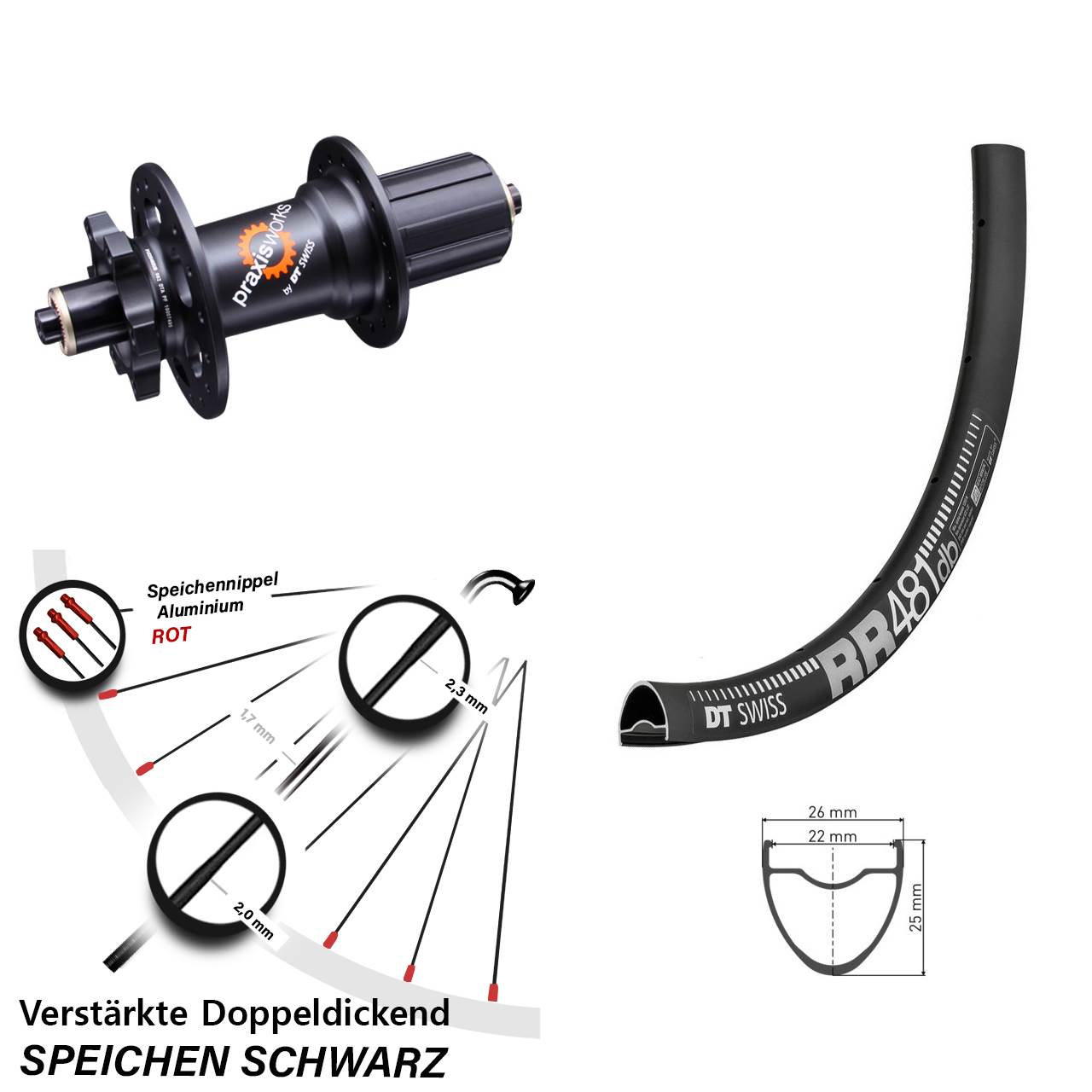 6-Loch Hinterrad QR 28 Zoll DT Swiss RR481-350 QR 11-fach 8-11 fach