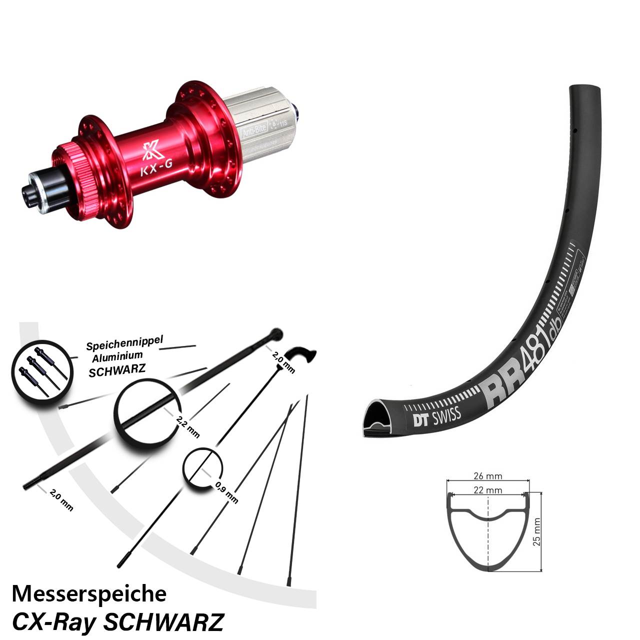 Centerlock Hinterrad QR 28 Zoll DT Swiss RR 481 KX-G rot 8-12 fach HG CX-Ray