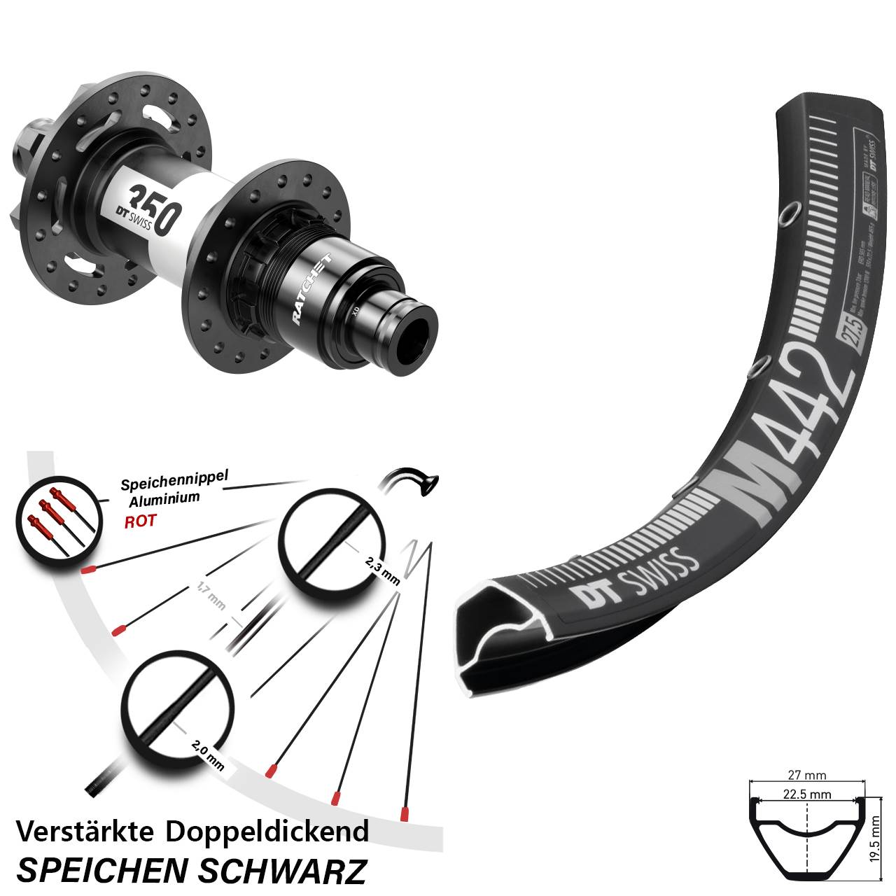 DT Swiss M442-350 28-29 Zoll 6-Loch Hinterrad 12x148 SRAM XD