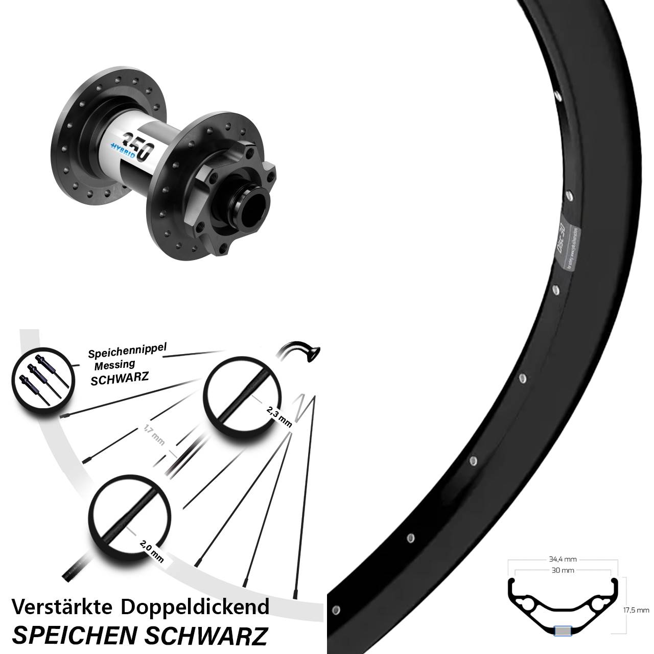 Ryde Disc 30 DT Swiss Hybrid 350 29 Zoll Laufrad 15x100