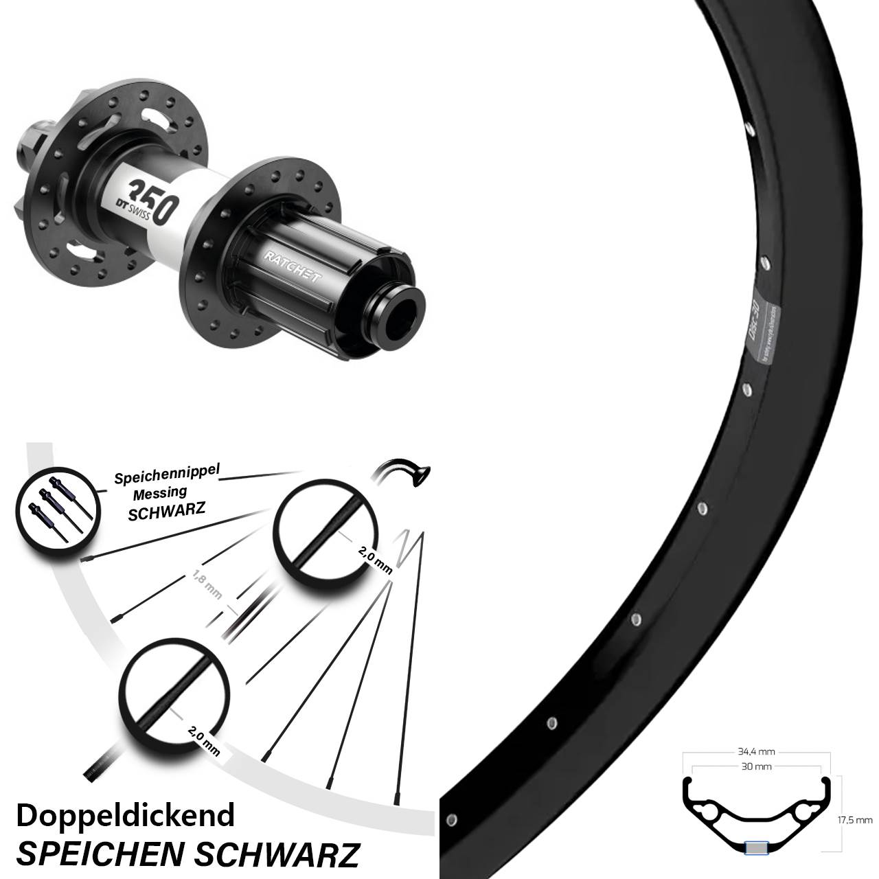29 Zoll Ryde Disc 30 DT Swiss 350 Hinterrad 12x142 8-11 fach