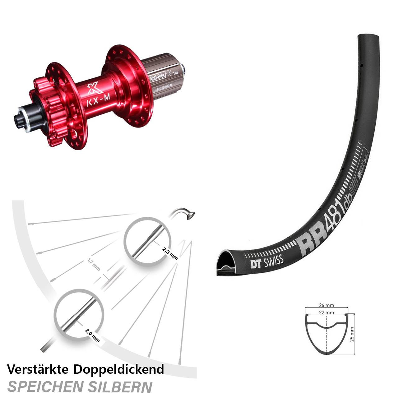 28 Zoll DT Swiss RR481 KX-M rot Hinterrad 6-Loch QR 8-12 fach