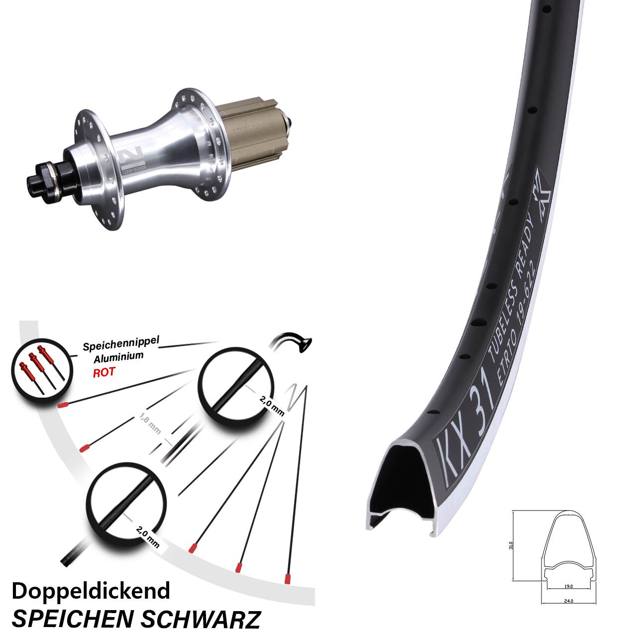 Hinterrad 28 Zoll KX 31 Novatec F162SB Campa 8-12 fach QR