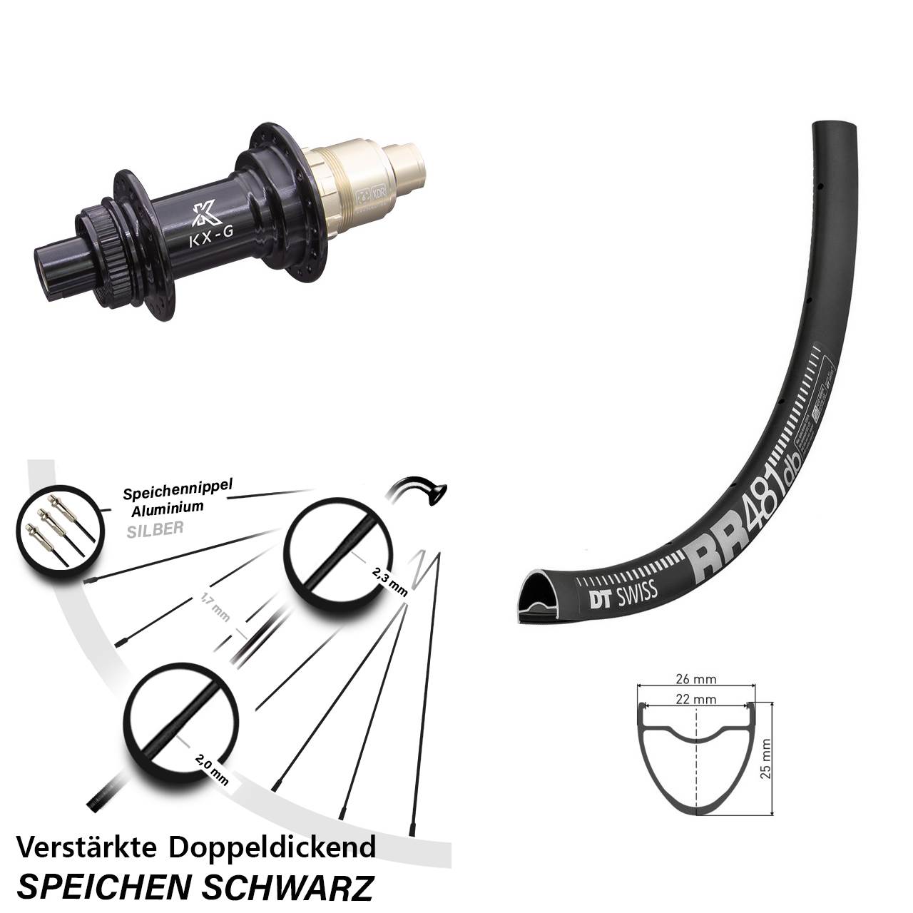 28 Zoll DT Swiss RR481 KX-G Centerlock Hinterrad 12x142 XDR
