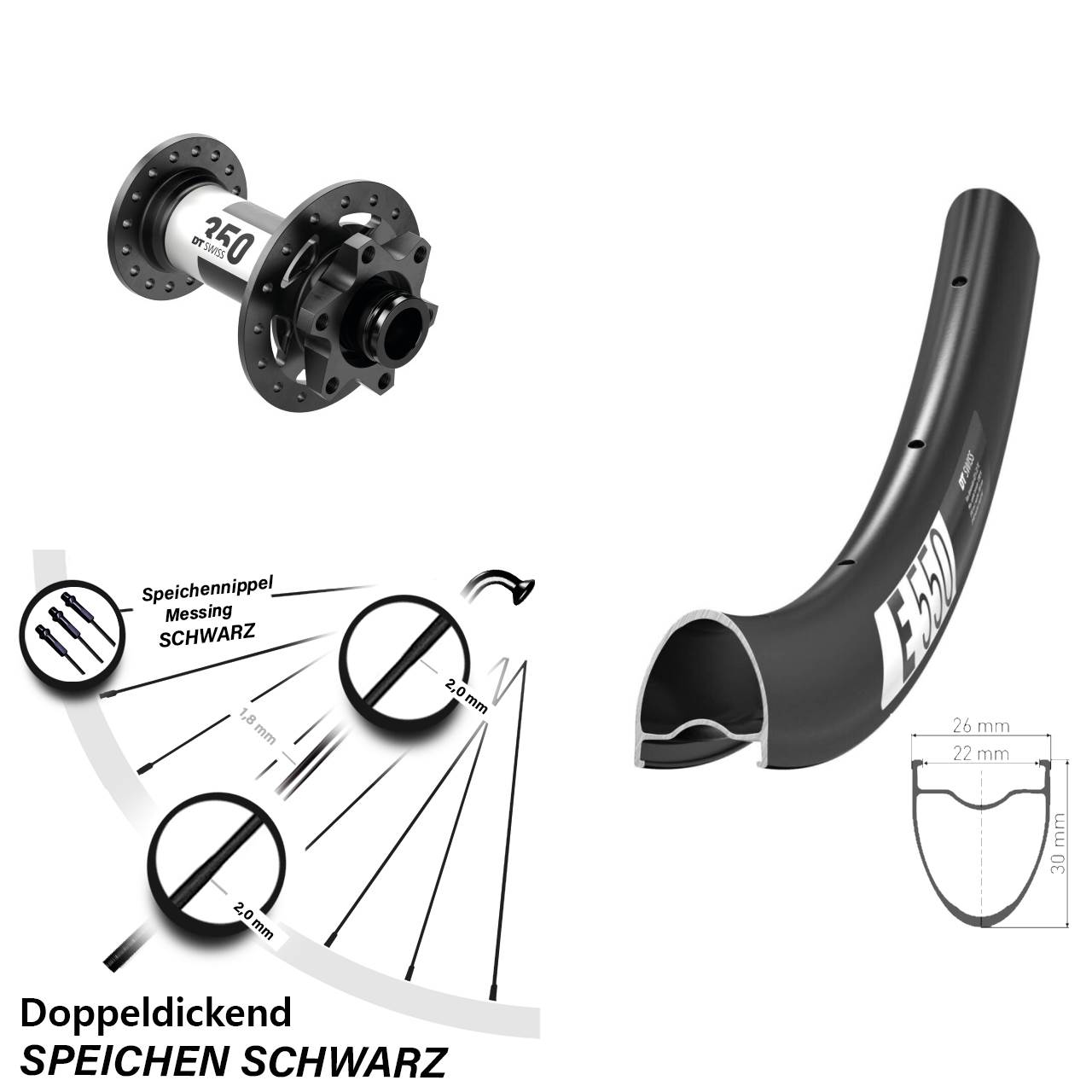 Laufrad 28 Zoll DT Swiss E550-350 12x100 6-Loch