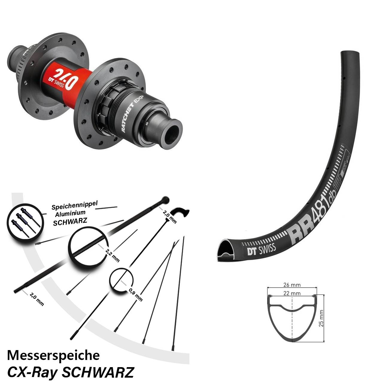 Hinterrad 28 Zoll RR 481 DT Swiss 240 EXP Road Sram XDR 12x142 mm CX Ray Messerspeiche