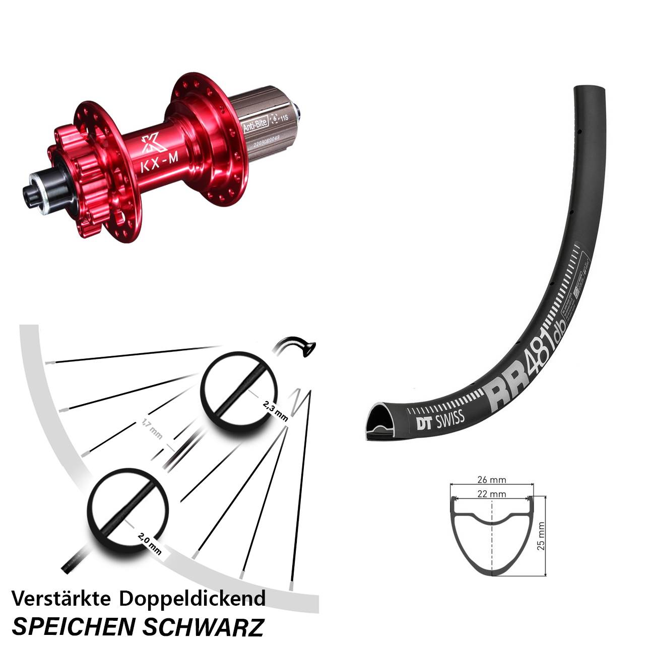 28 Zoll DT Swiss RR481 KX-M rot Hinterrad 6-Loch QR 8-12 fach