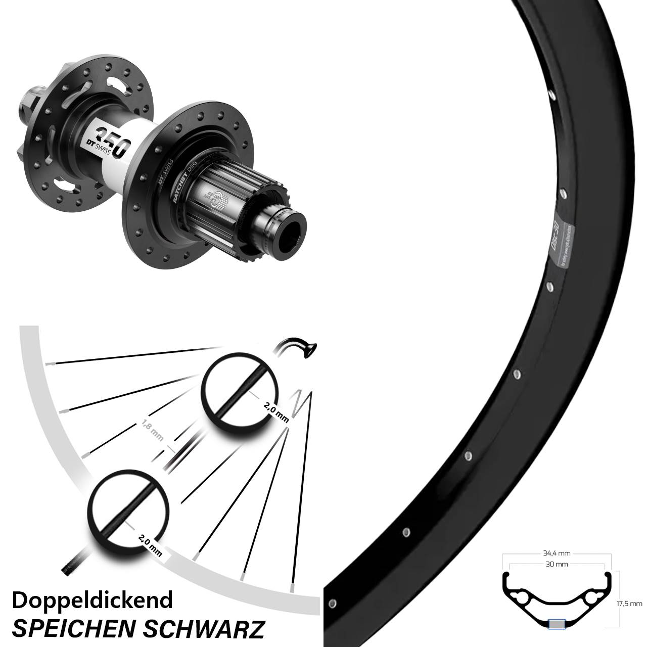 Hinterrad 6-Loch 29 Zoll Ryde Disc 30 DT Swiss 350 DEG 72 Micro Spline 12x148