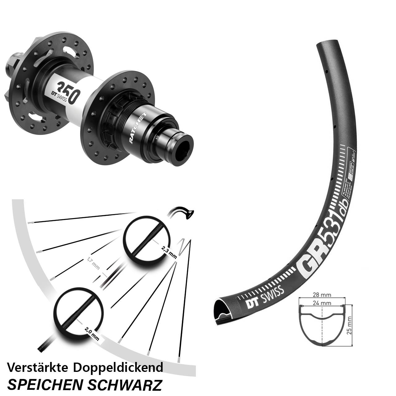 6-Loch Hinterrad 28 Zoll DT Swiss GR 531-350 XD 11-12 fach 12x148