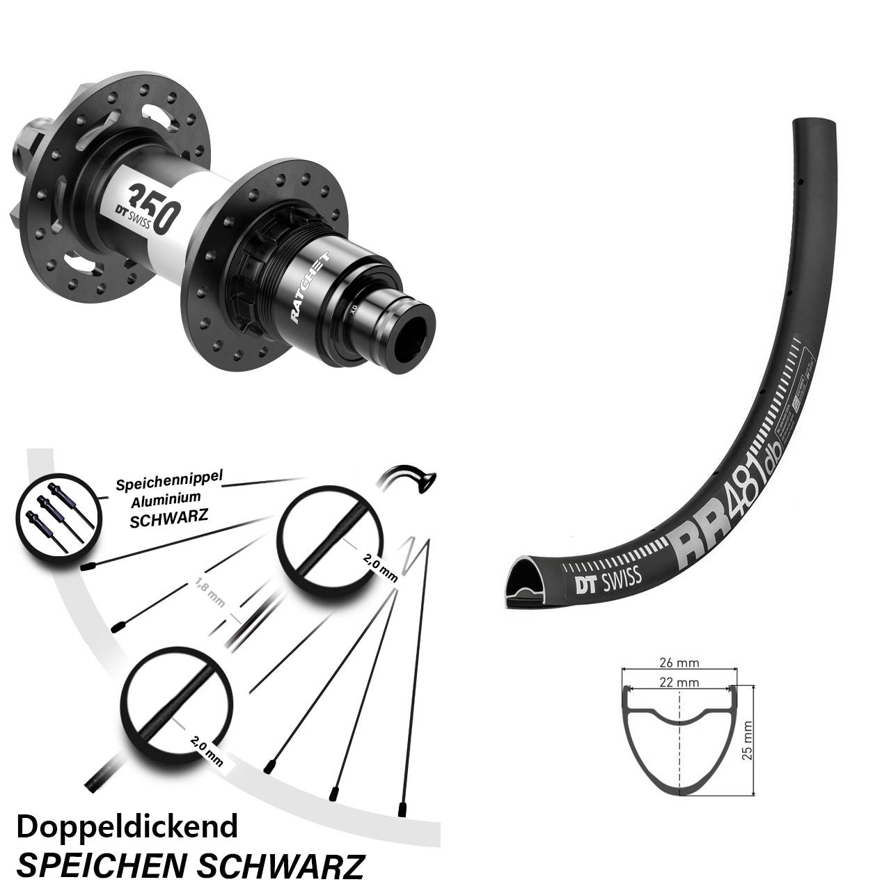 Hinterrad 6-Loch 28 Zoll DT Swiss RR 481-350 XD 11-12 fach 12x142