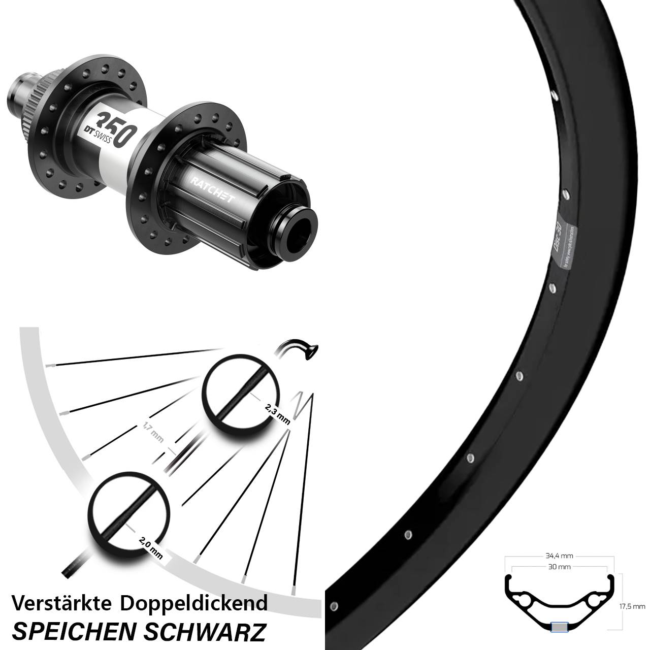 29 Zoll Ryde Disc 30 DT Swiss 350 Hinterrad 12x142 8-11 fach HG