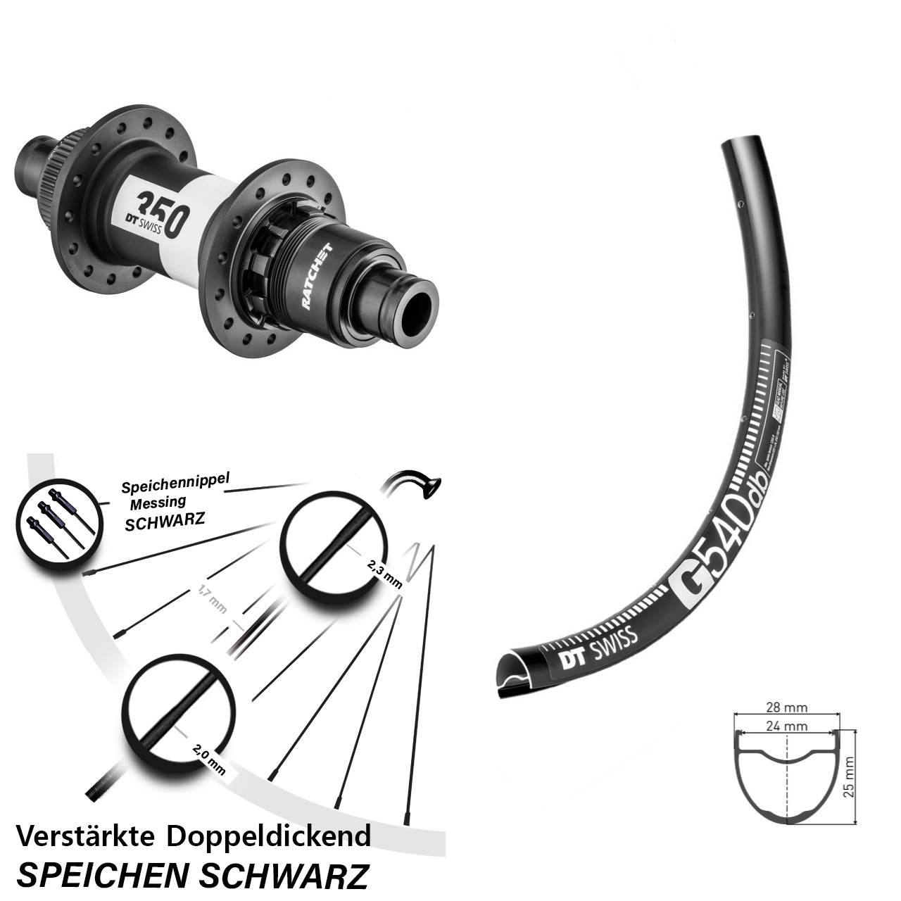 28 Zoll DT Swiss G 540-350 Road Laufrad 12x142 XDR 11-12 fach