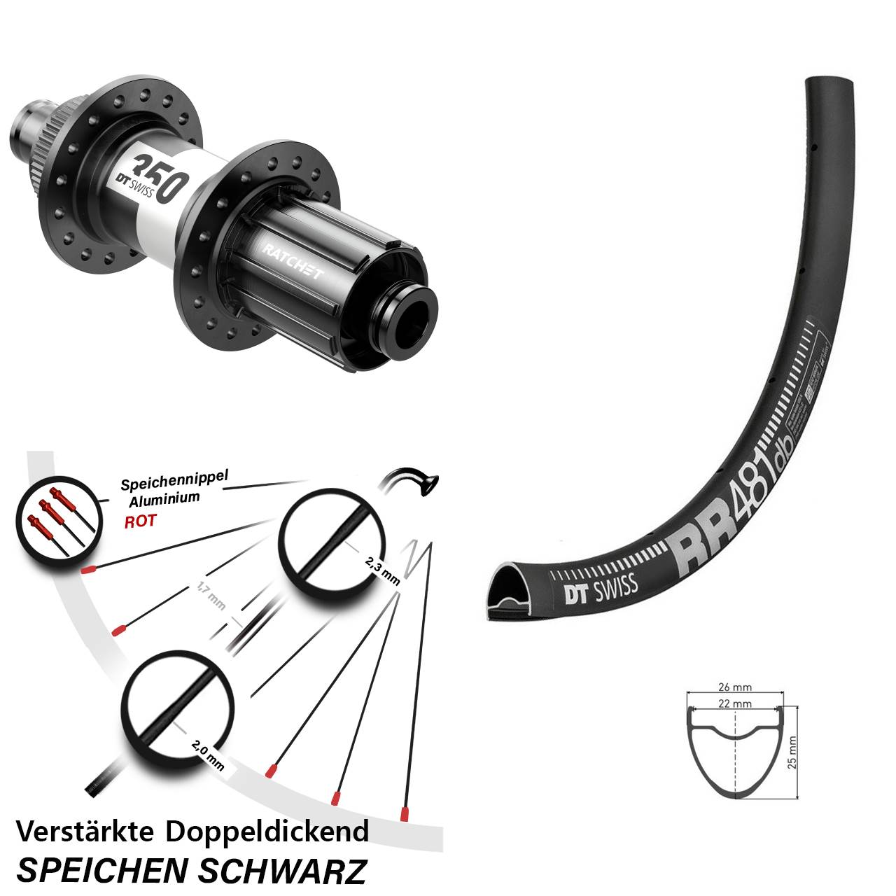 28 Zoll DT Swiss RR 481-350 Centerlock Hinterrad 12x142 8-11 fach HG