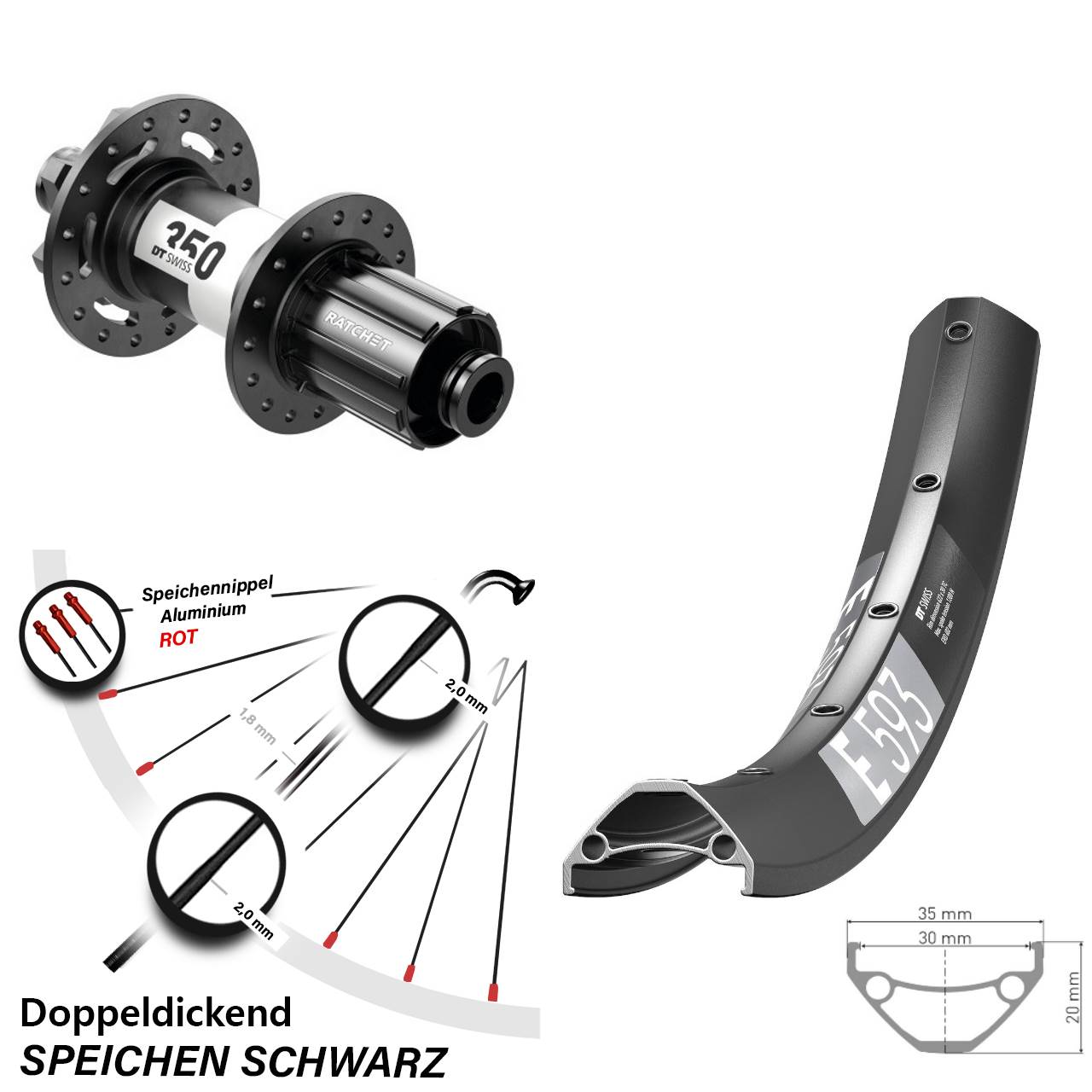 29 Zoll DT Swiss E 593-350 Hinterrad 6-Loch 12x148 8-11 fach