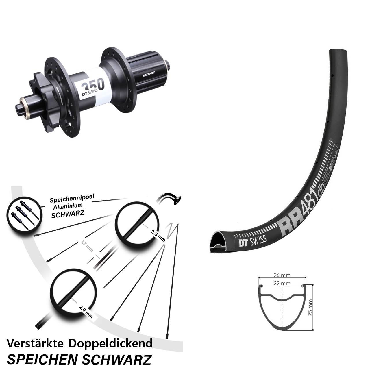 DT Swiss RR481 DT Swiss 350 Ratchet 36 28 Zoll 6-Loch Hinterrad QR 8-11 fach HG