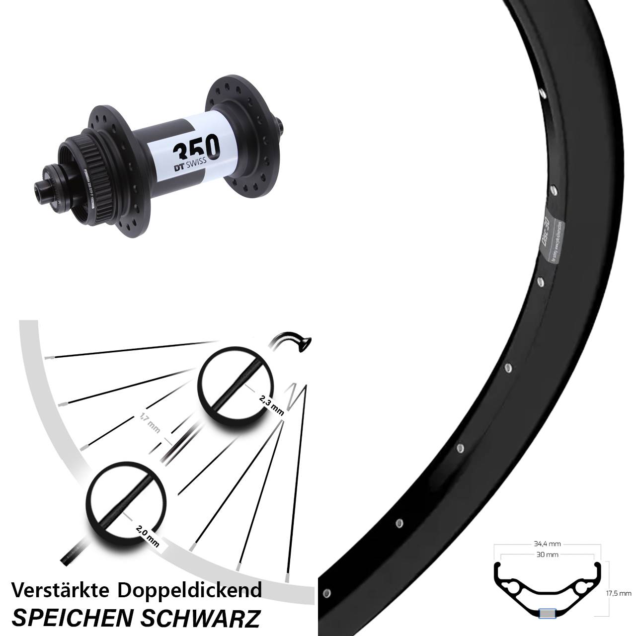 Vorderrad 29 Zoll Ryde Disc 30 DT Swiss 350 QR