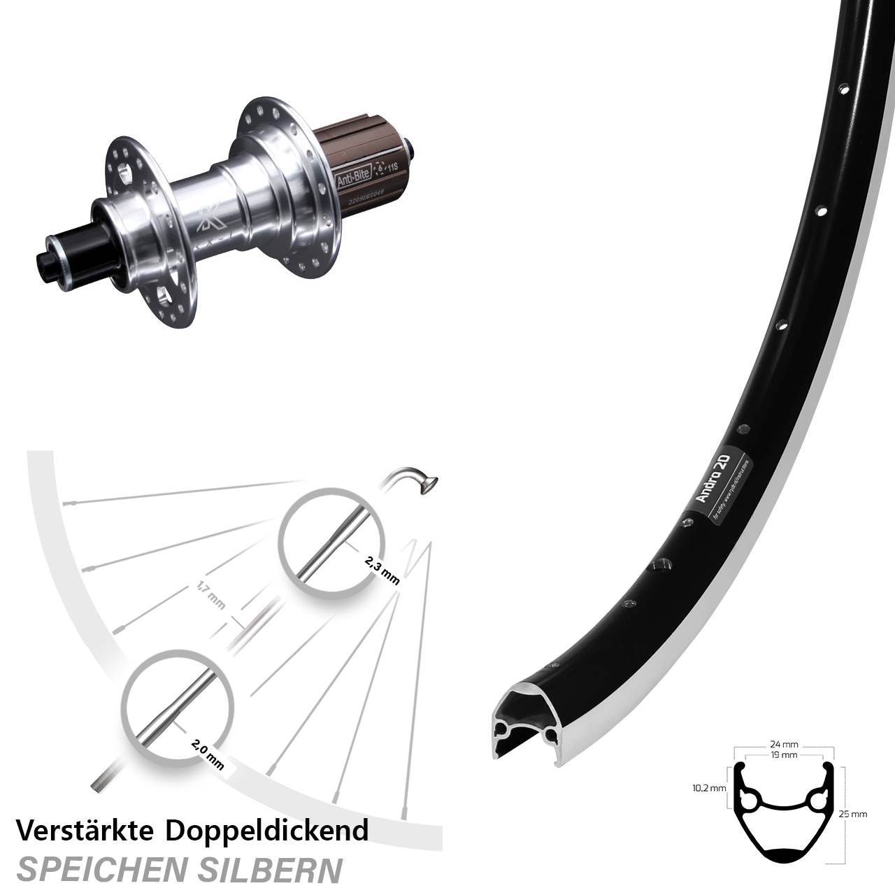 Hinterrad 28 Zoll Ryde Andra 20 KX-T 8-12 fach HG QR