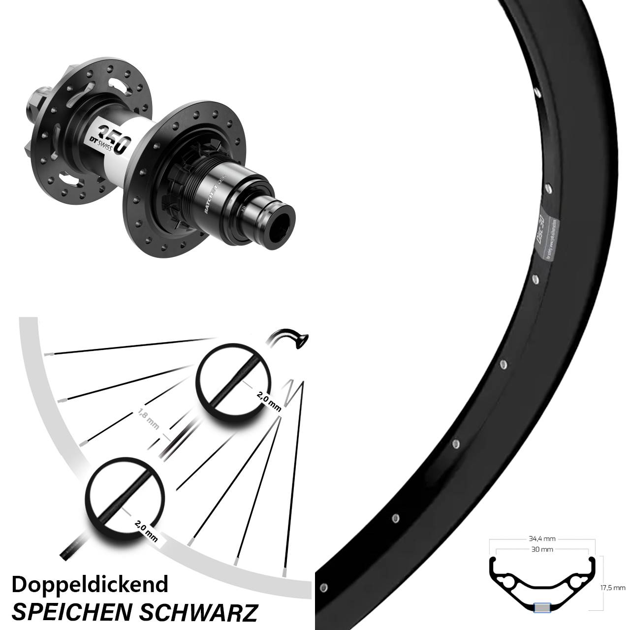 Hinterrad 6-Loch 12x148 29 Zoll Ryde Disc 30 DT Swiss 350 DEG 72 XD