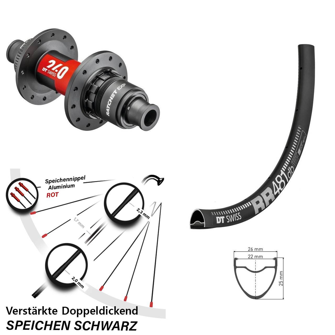 28 Zoll DT Swiss RR481 DT Swiss 240 EXP Hinterrad Centerlock 12x142 XDR