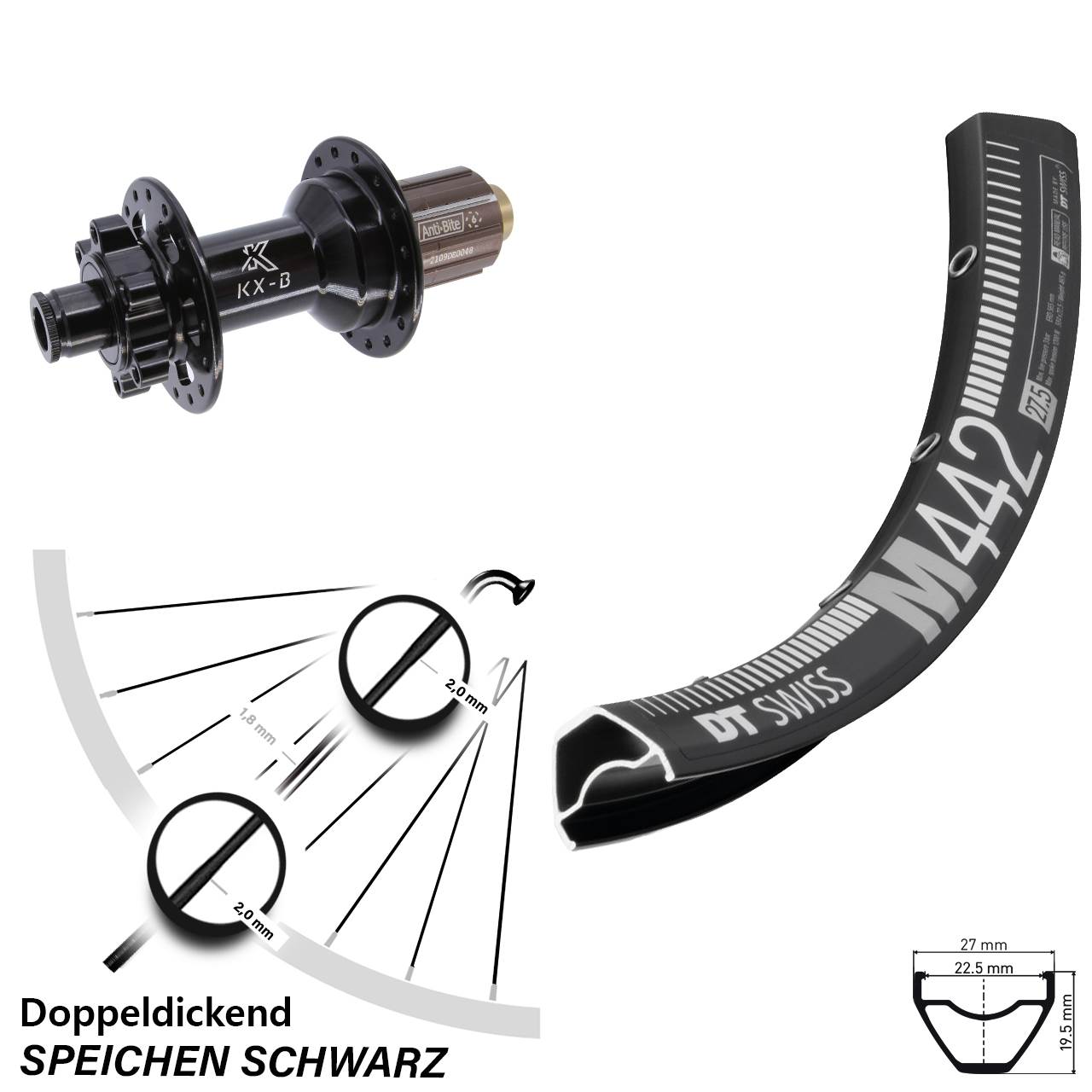 Hinterrad 6-Loch 12x148 29 Zoll DT Swiss M 442 KX-B 8-11 fach