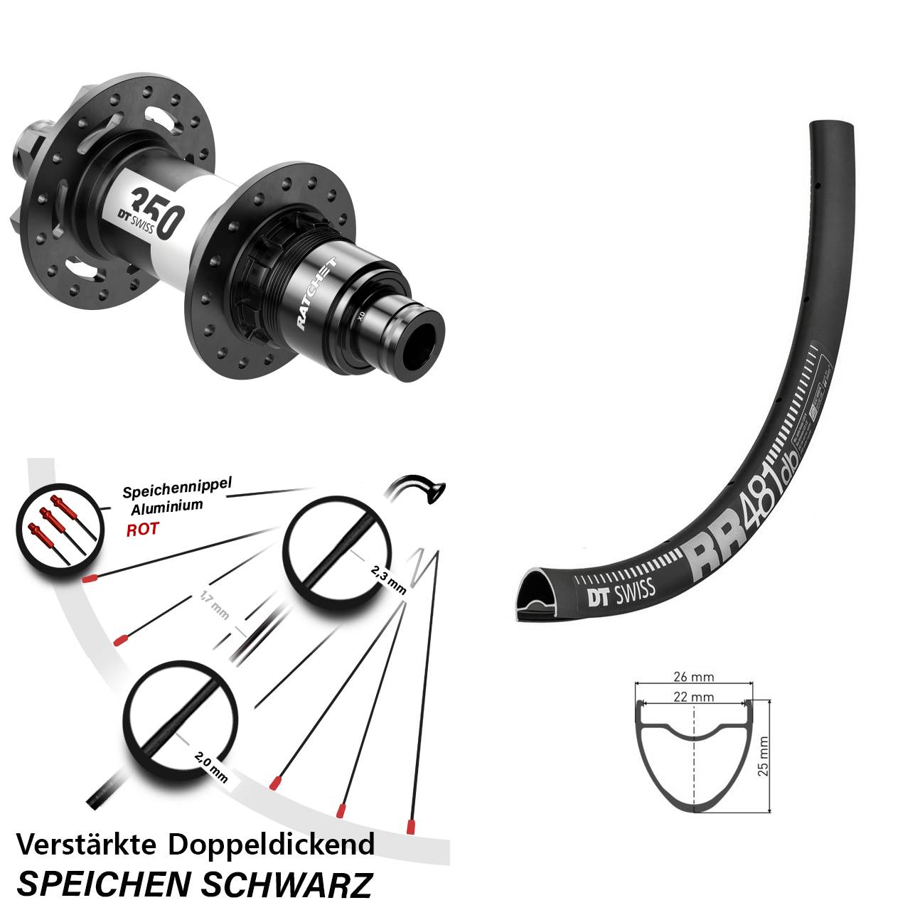 28 Zoll DT Swiss RR 481-350 Disc Laufrad 12x148 SRAM XD
