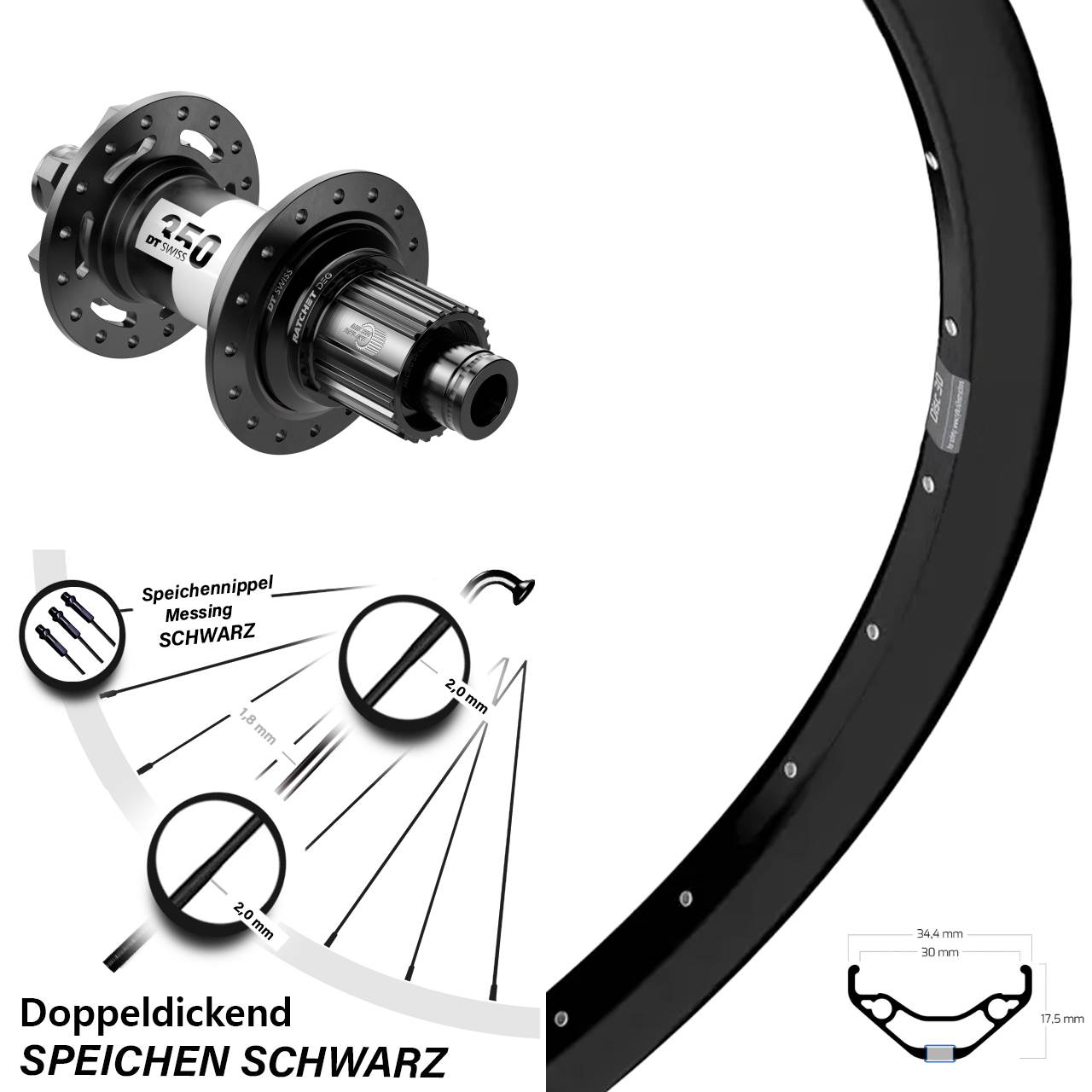 Hinterrad 6-Loch 29 Zoll Ryde Disc 30 DT Swiss 350 DEG 72 Micro Spline 12x148