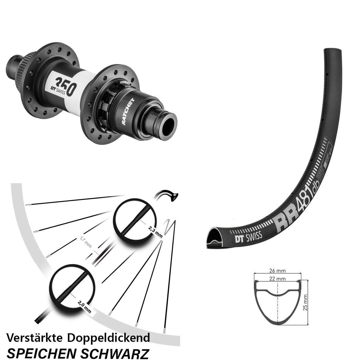 Disc Hinterrad 28 Zoll DT Swiss RR481-350 Ratchet 36 XDR 12x142