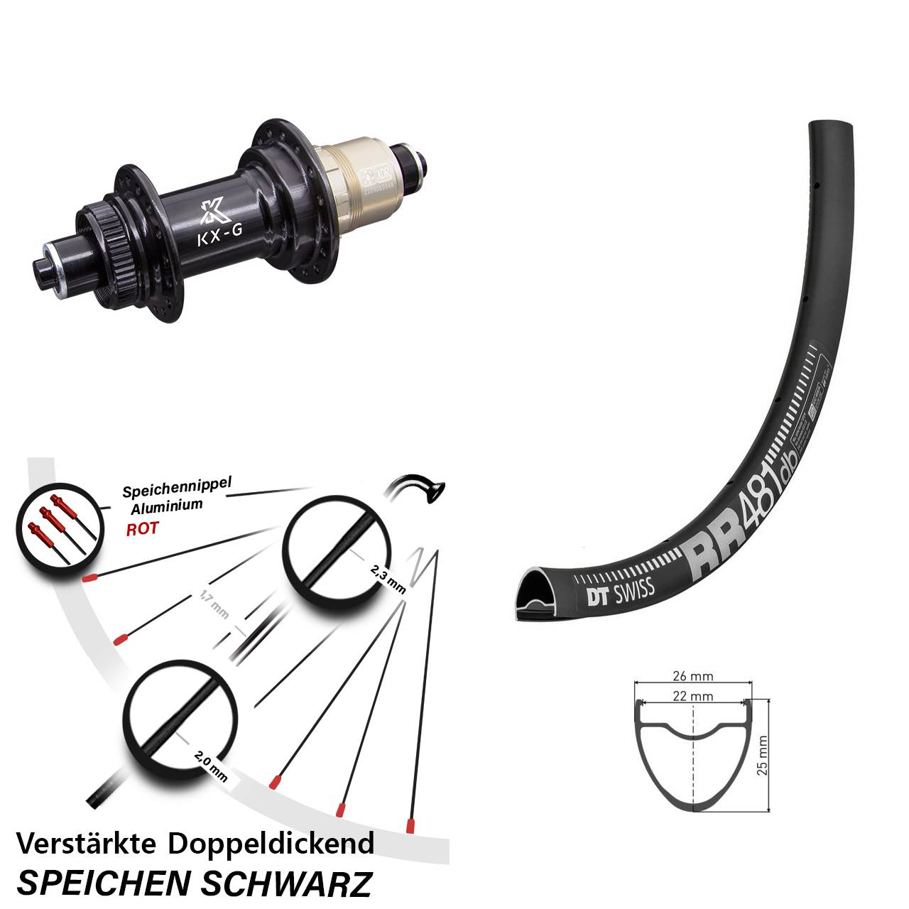 Hinterrad Centerlock 28 Zoll DT Swiss RR481 KX-G XDR 11-12 fach für Schnellspanner