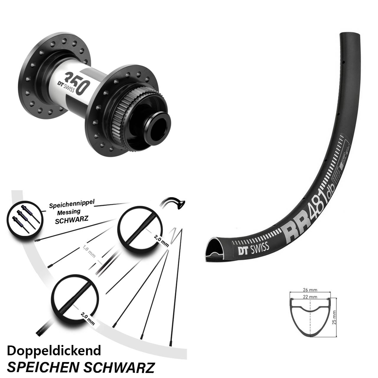 Laufrad 28 Zoll DT Swiss RR 481 Disc-350 12x100 Centerlock