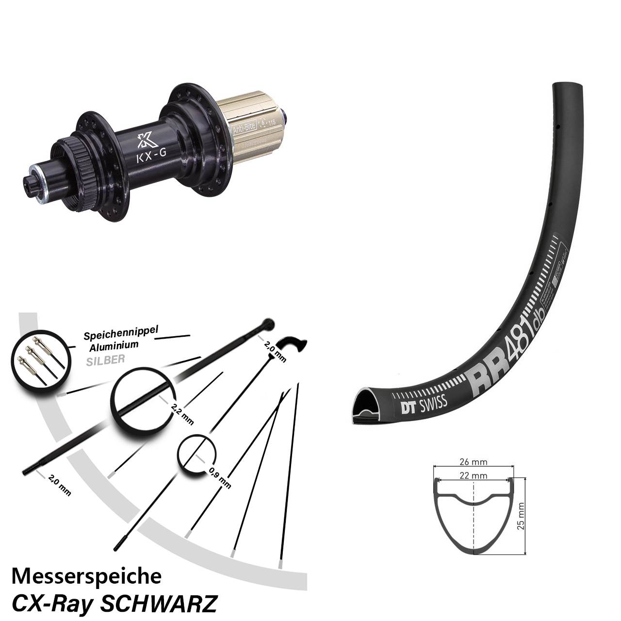 Hinterrad Centerlock für Schnellspanner 28 Zoll DT Swiss RR481 KX-G 8-12 fach HG CX-Ray