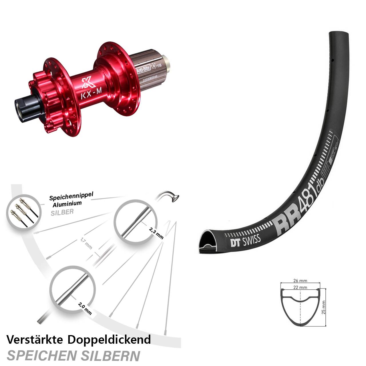 28 Zoll DT Swiss RR481 KX-M rot 6-Loch Hinterrad 12x142 8-12 fach HG