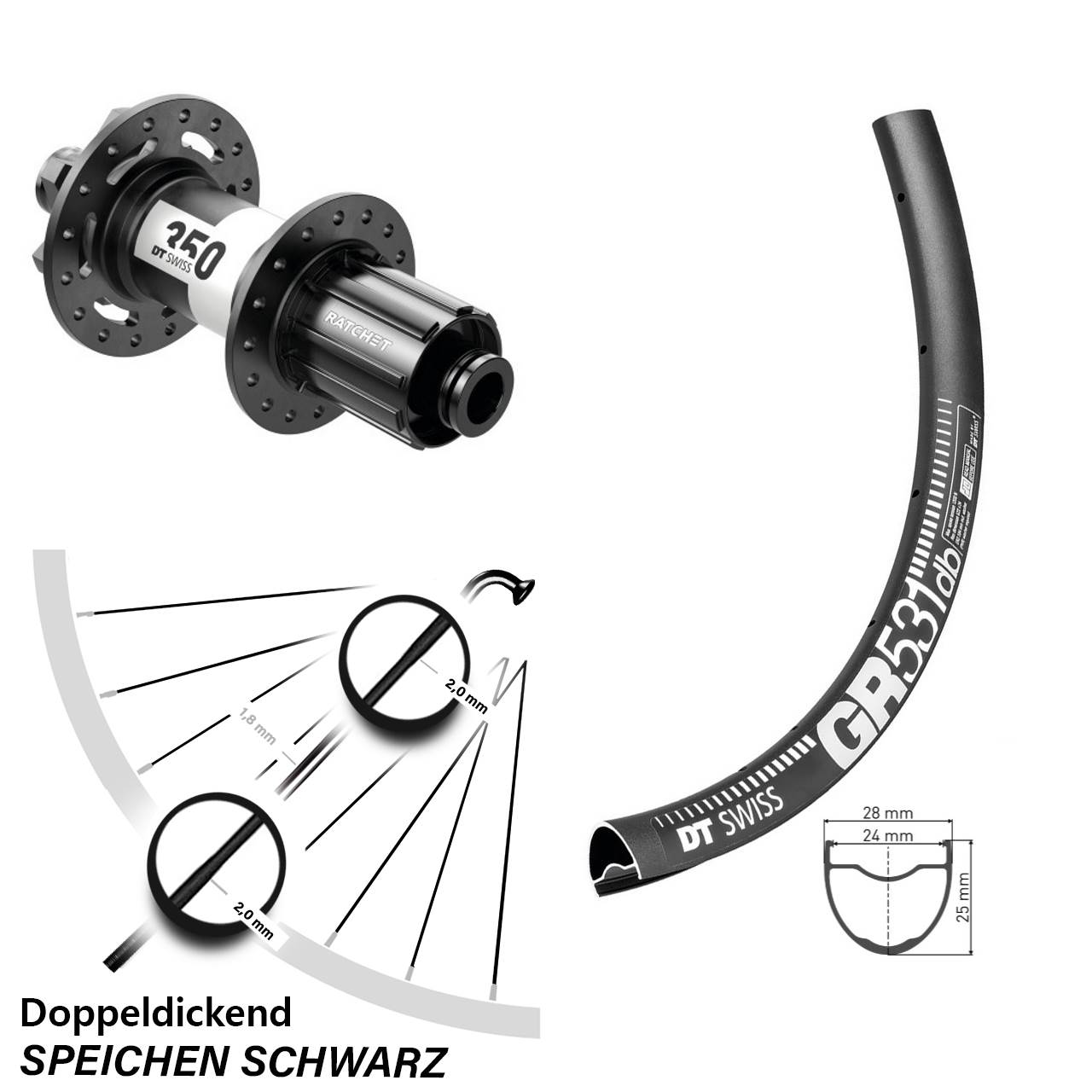 Hinterrad 6-Loch 28-29 Zoll DT Swiss GR531 DT Swiss 350 8-11 fach 12x148 Boost